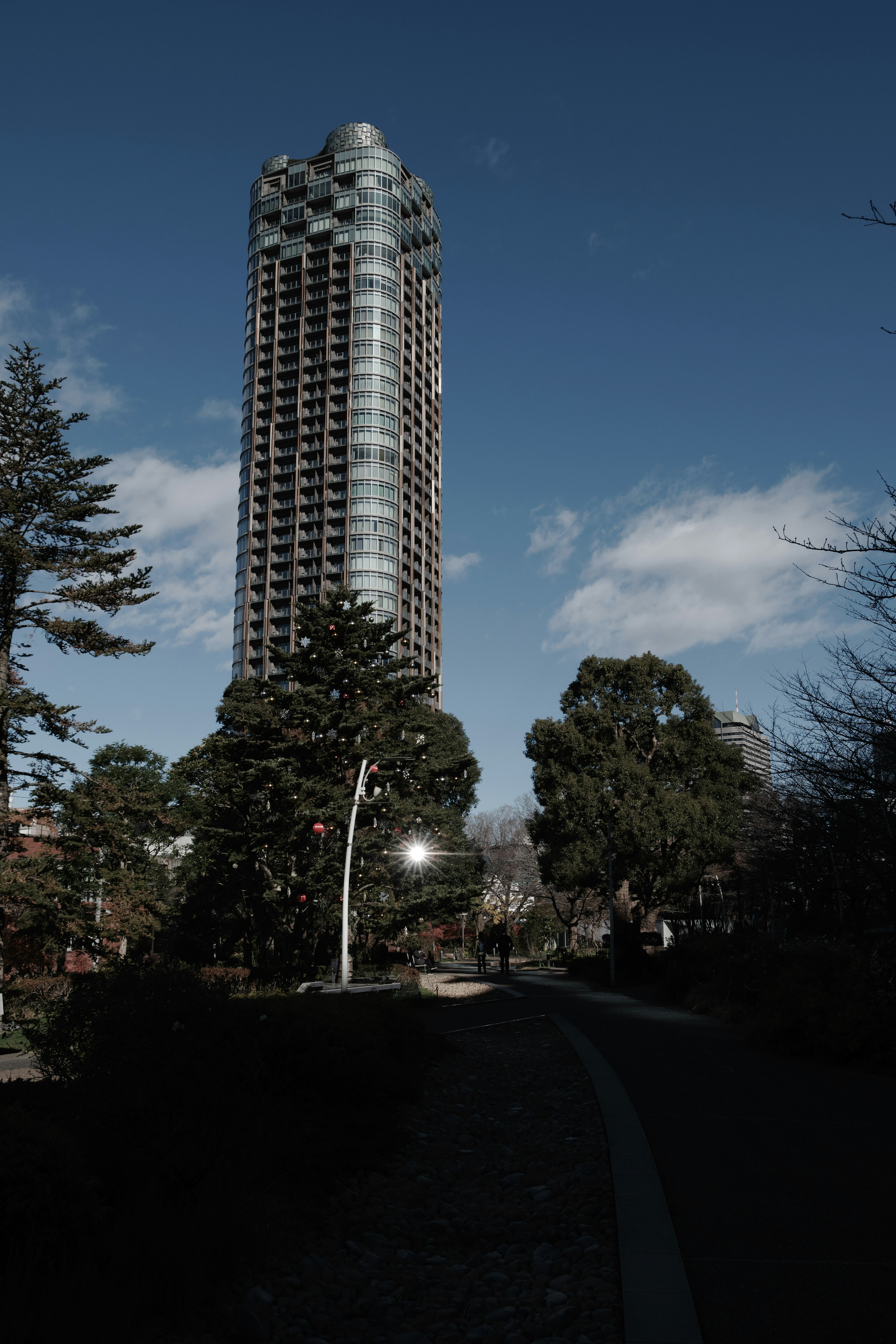 高層ビルの背景に広がる青空と樹木の風景