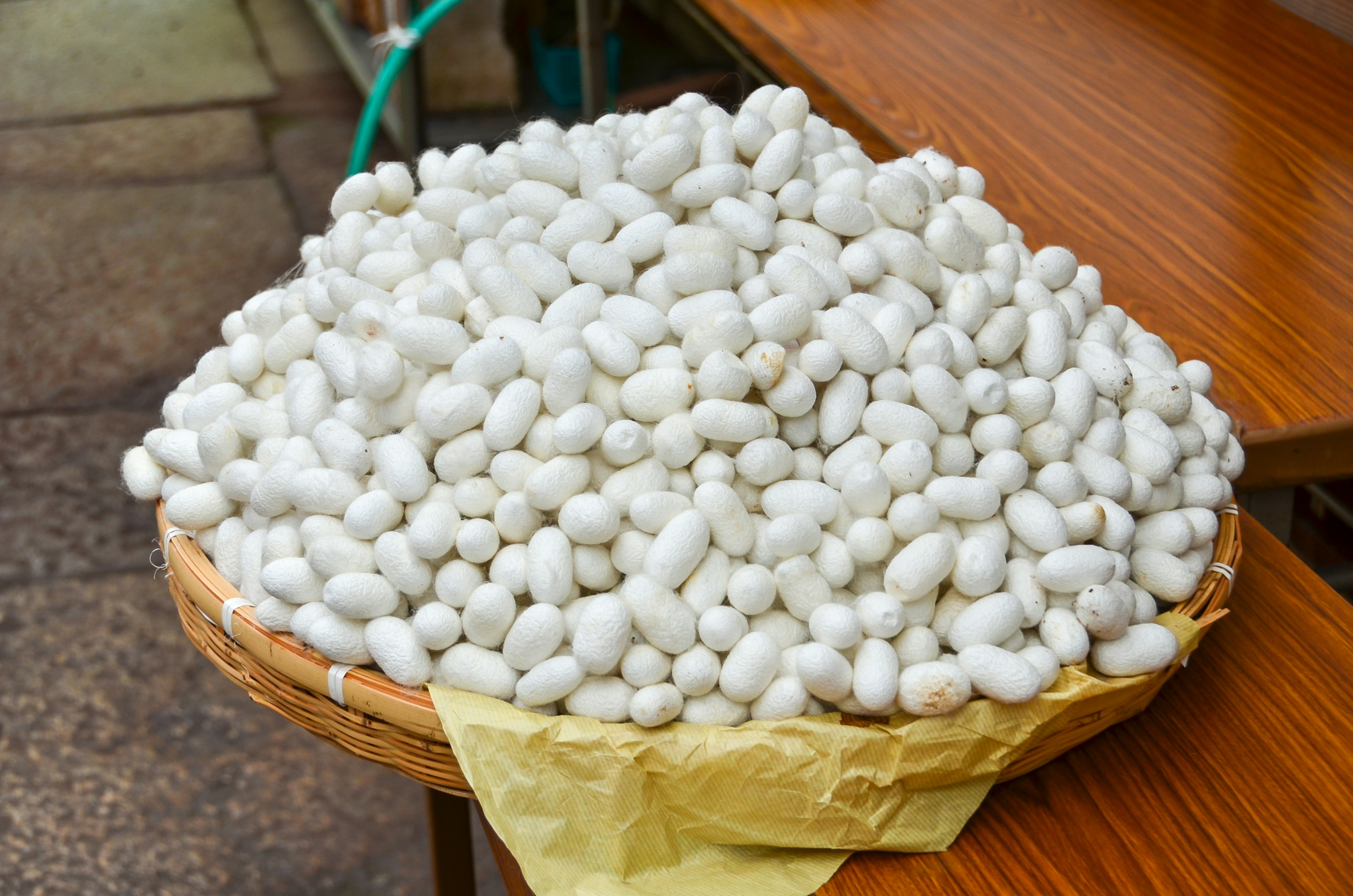 Una cesta llena de capullos de seda blancos