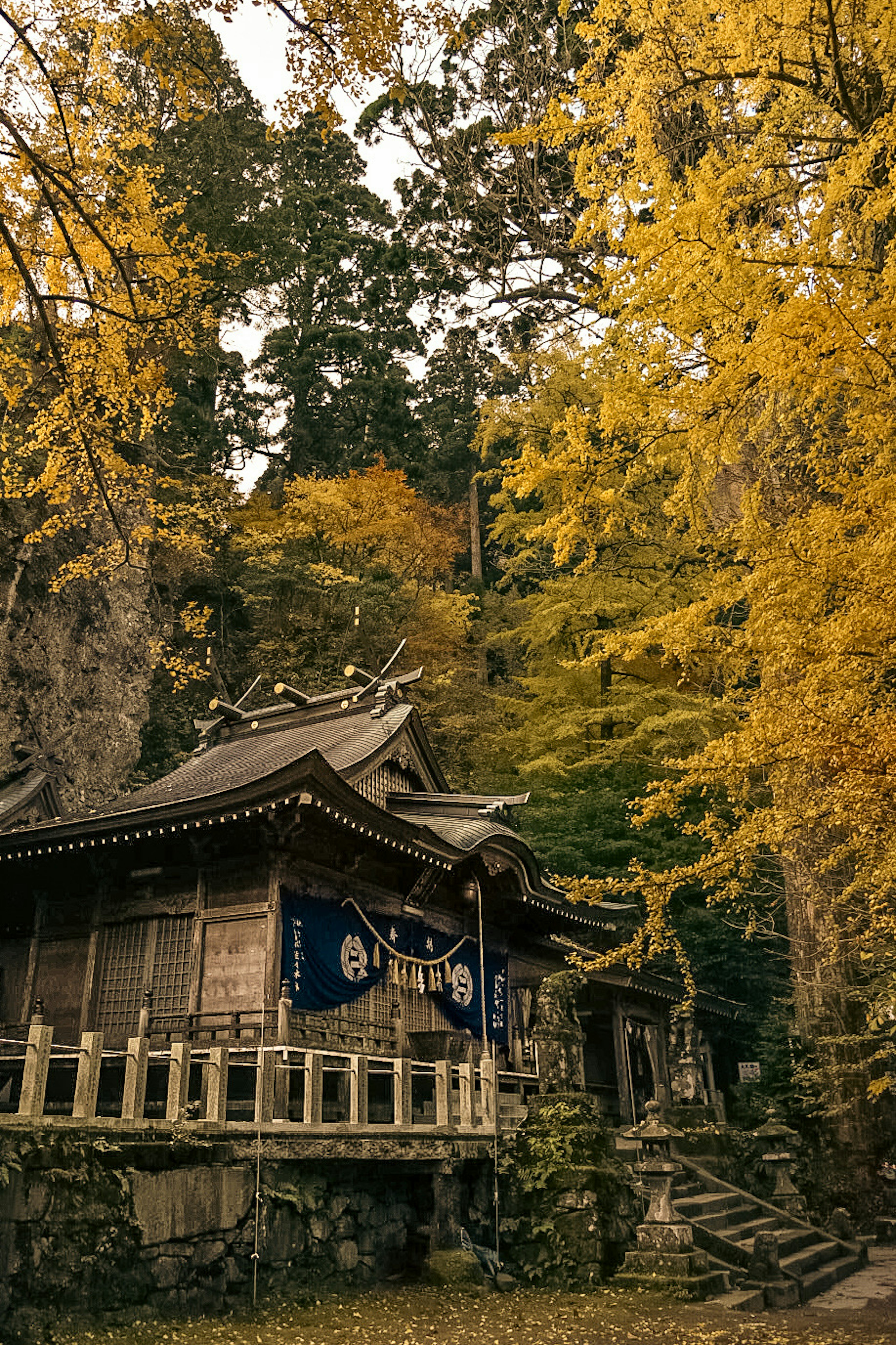 Traditional Japanese shrine surrounded by autumn foliage