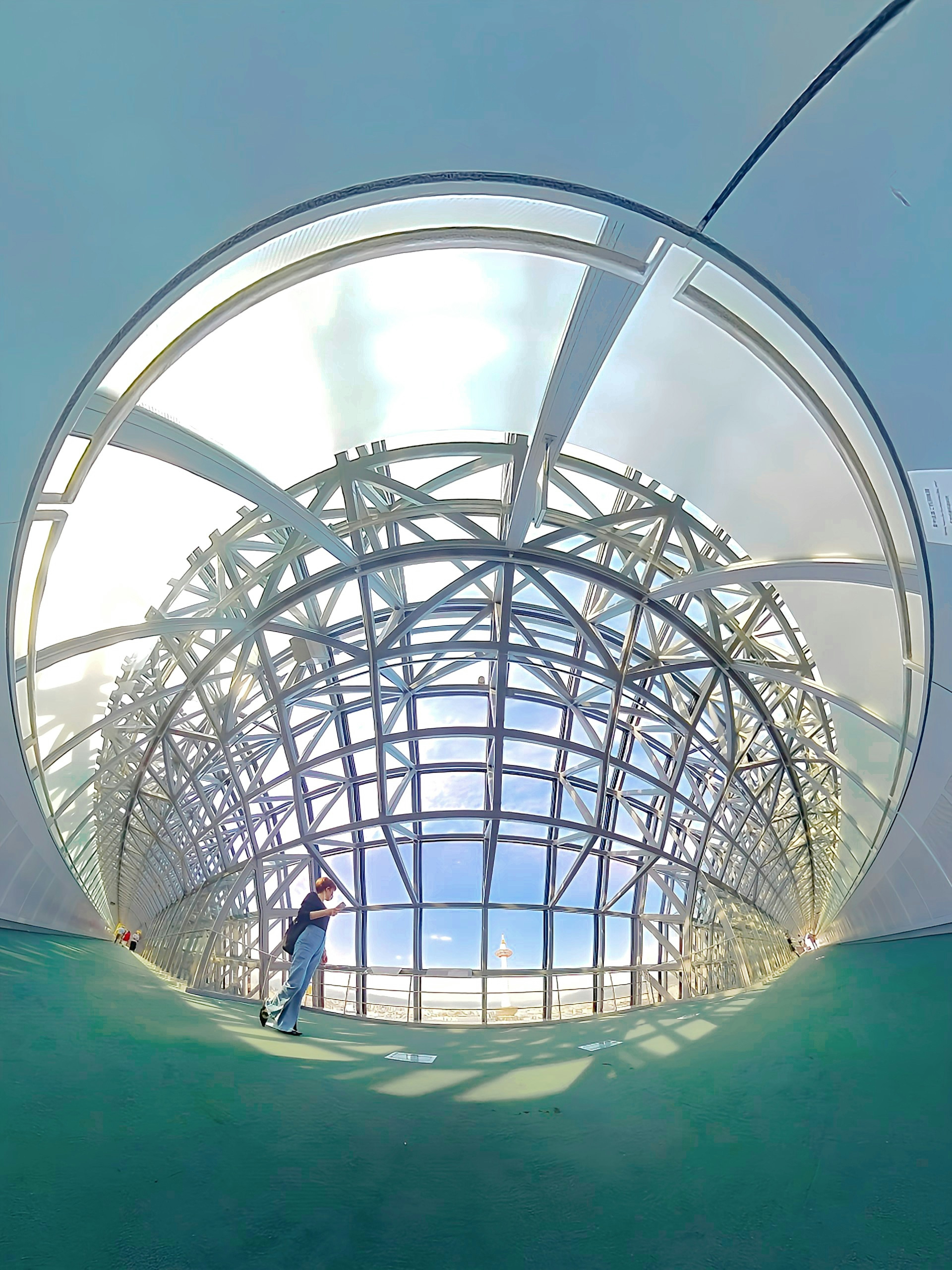 Interior of a transparent dome showcasing its structural design and blue sky