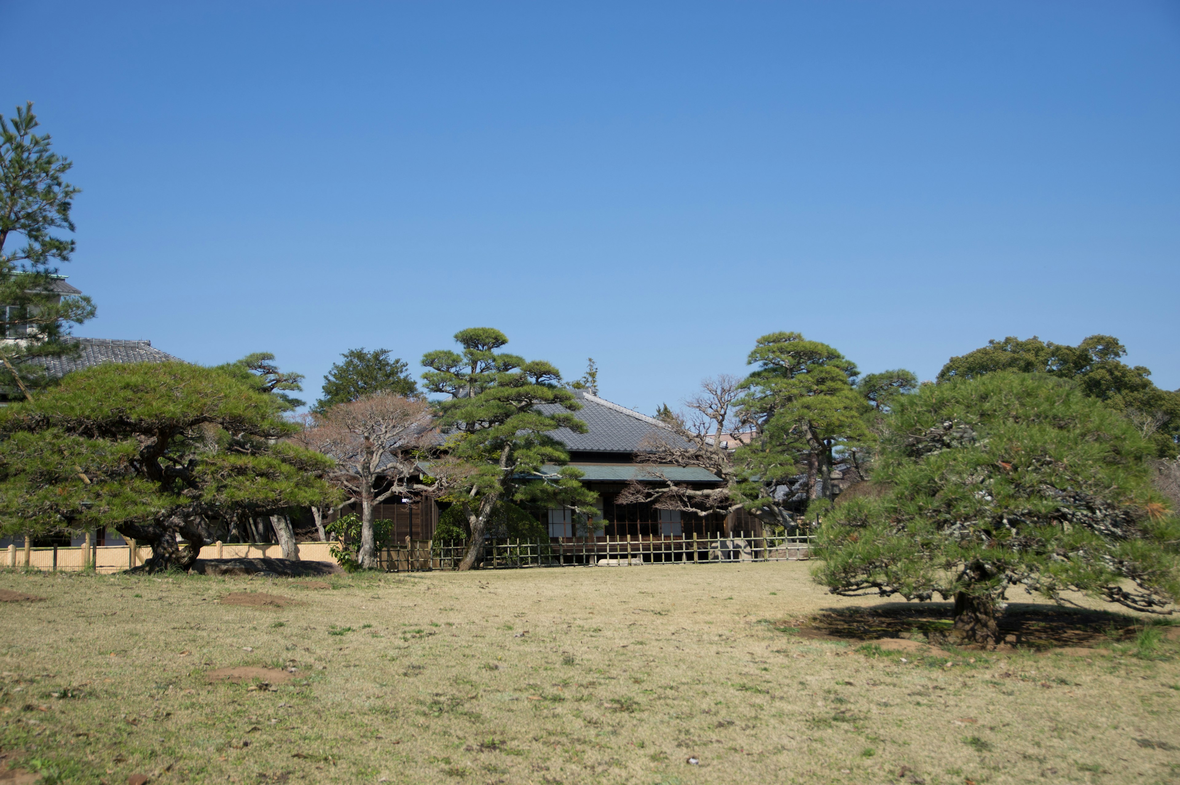 Casa japonesa tradicional y jardín bajo un cielo azul claro