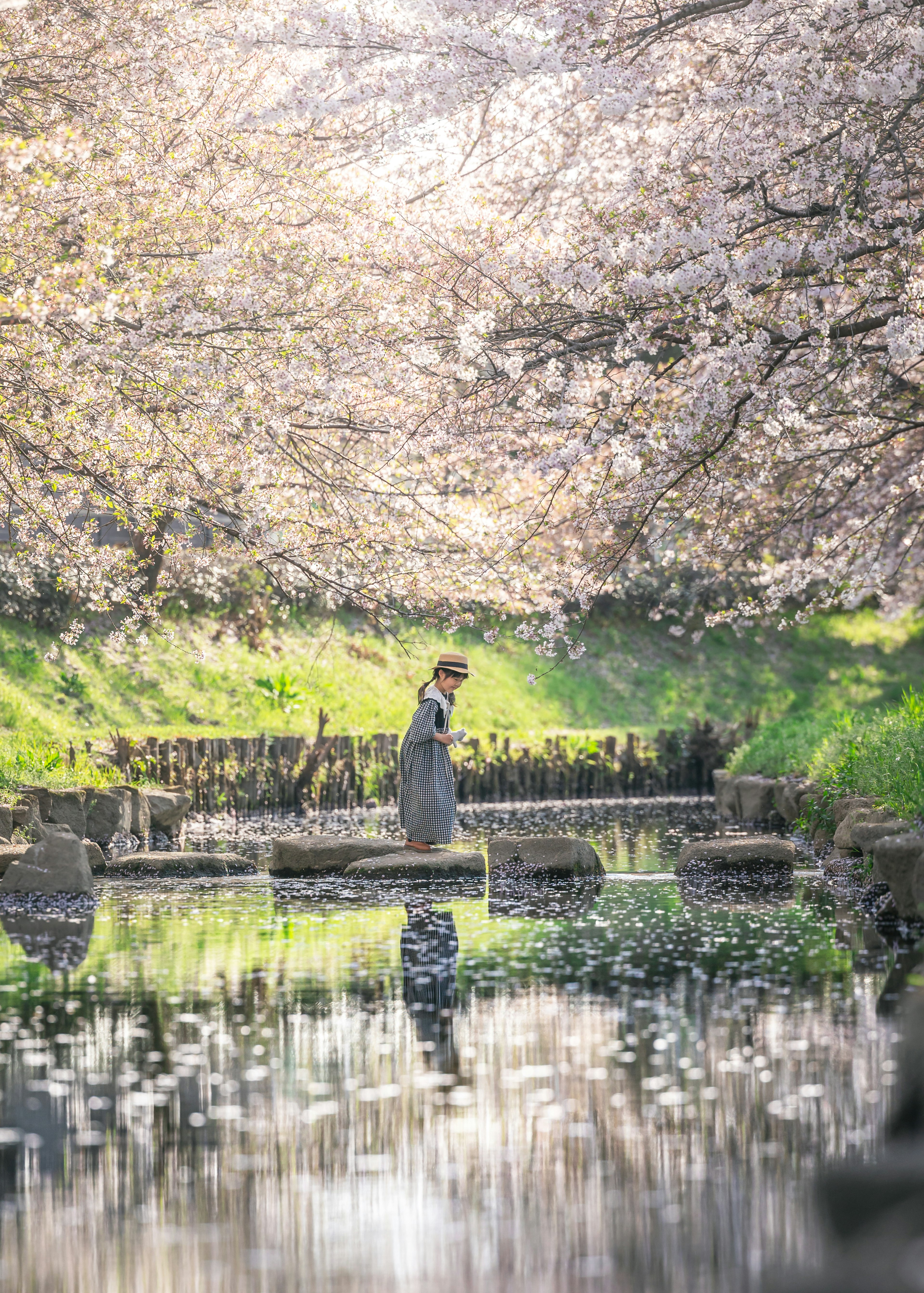 桜の木の下で静かに佇む女性が映る美しい風景