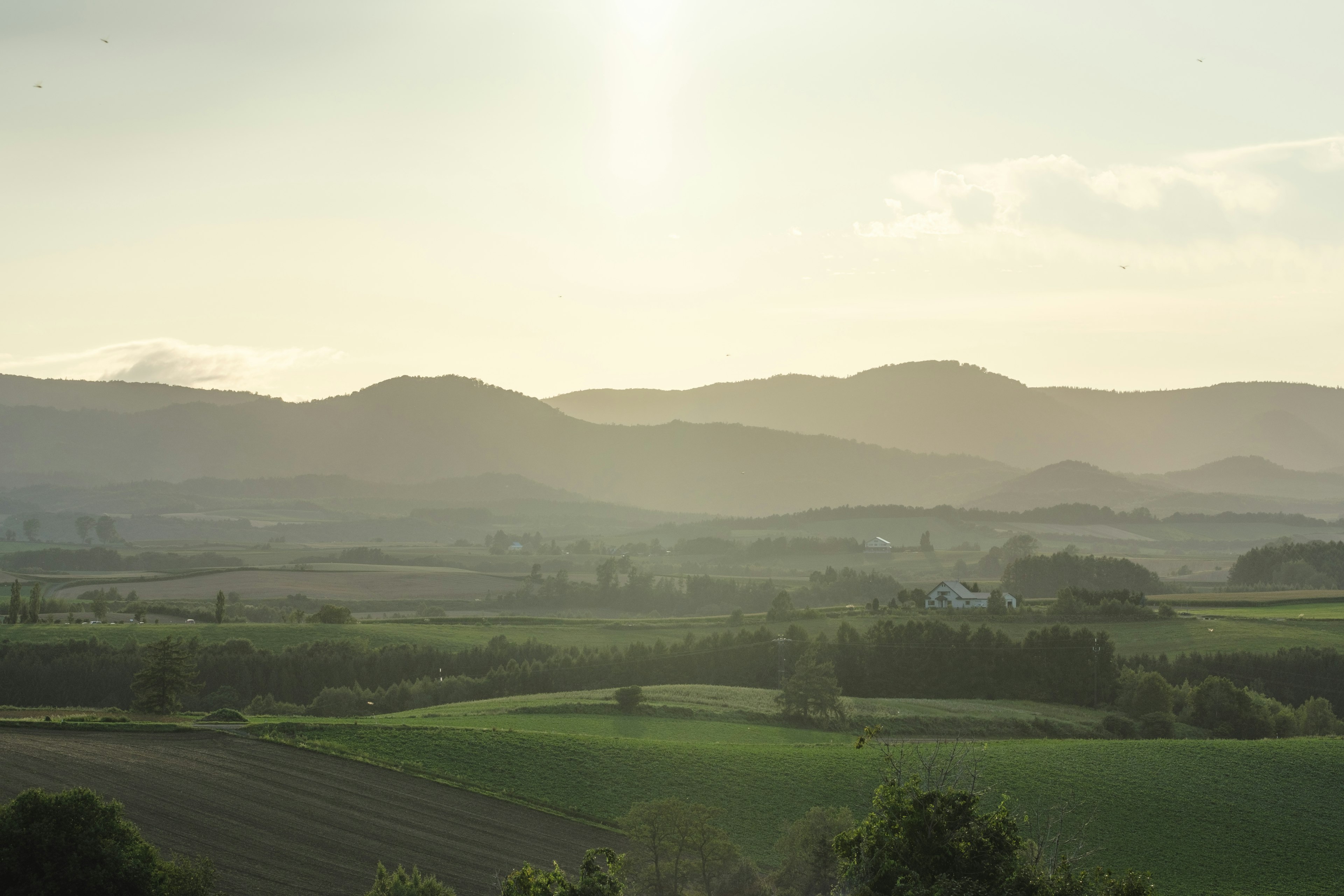 Eine ruhige Landschaft mit sanften grünen Feldern und nebligen Bergen