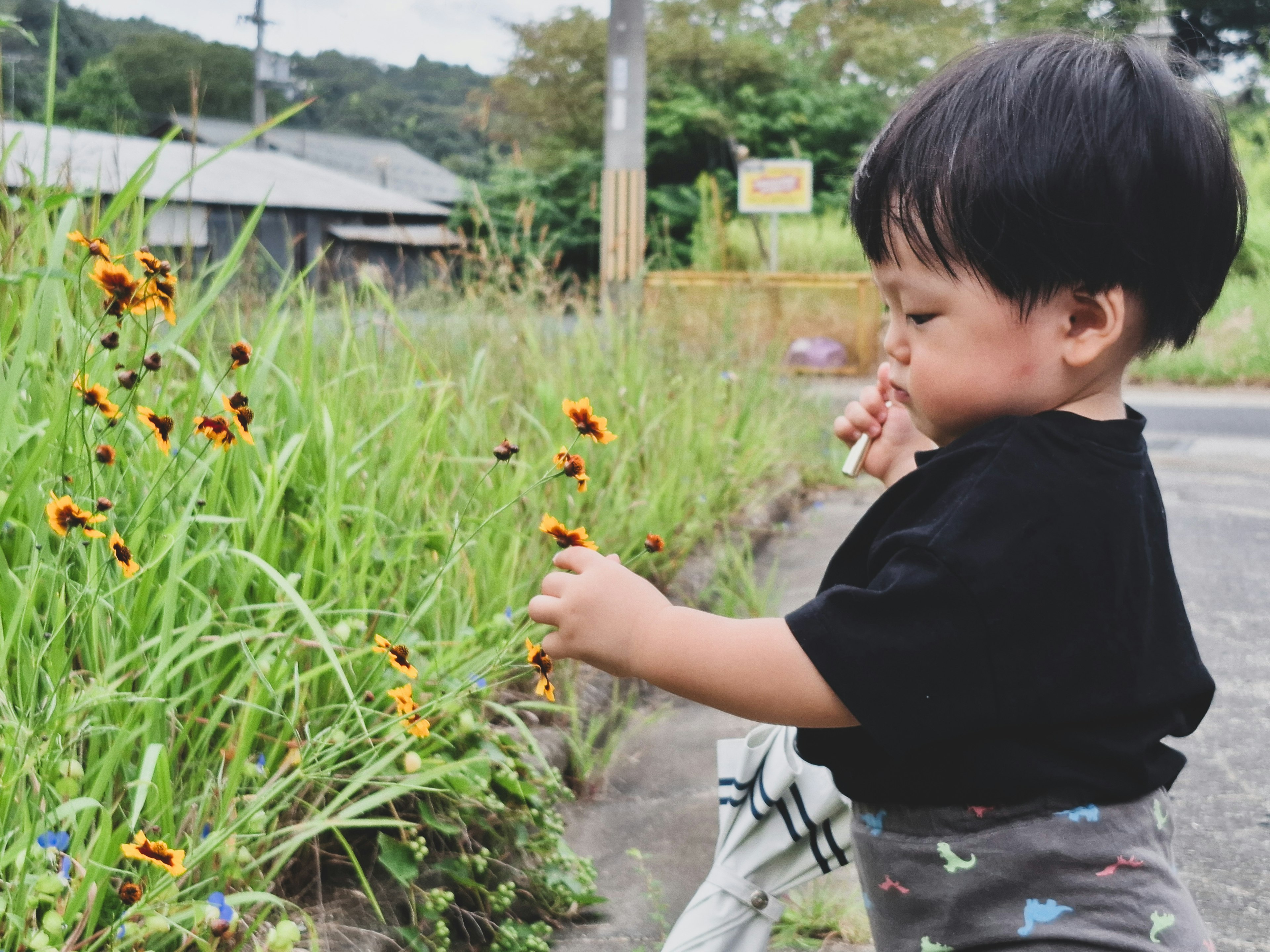 子供が花を見つめる風景　周囲には草と小道があり　背景に家屋が見える