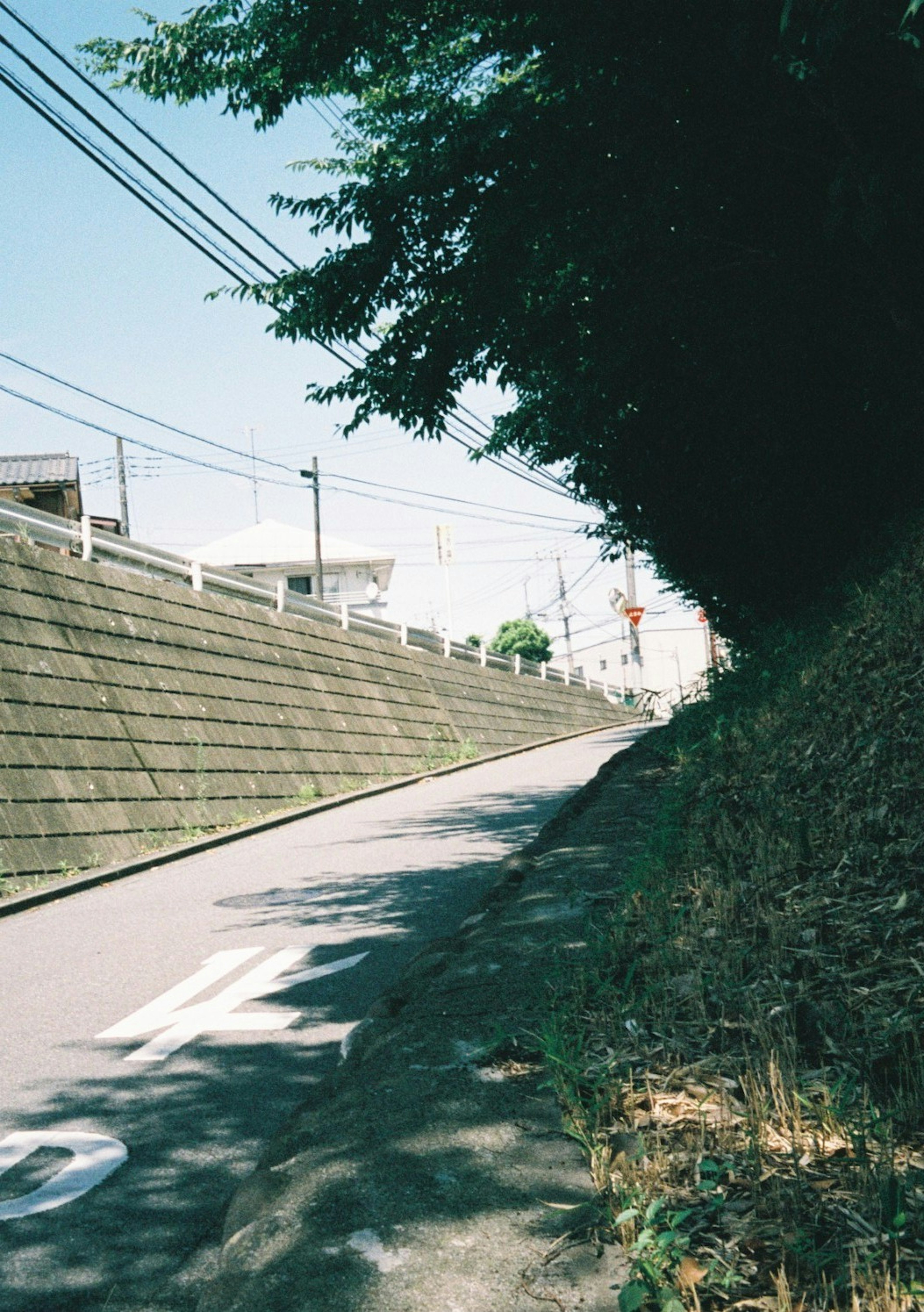 青空の下にある傾斜のある道路と緑の木々の風景