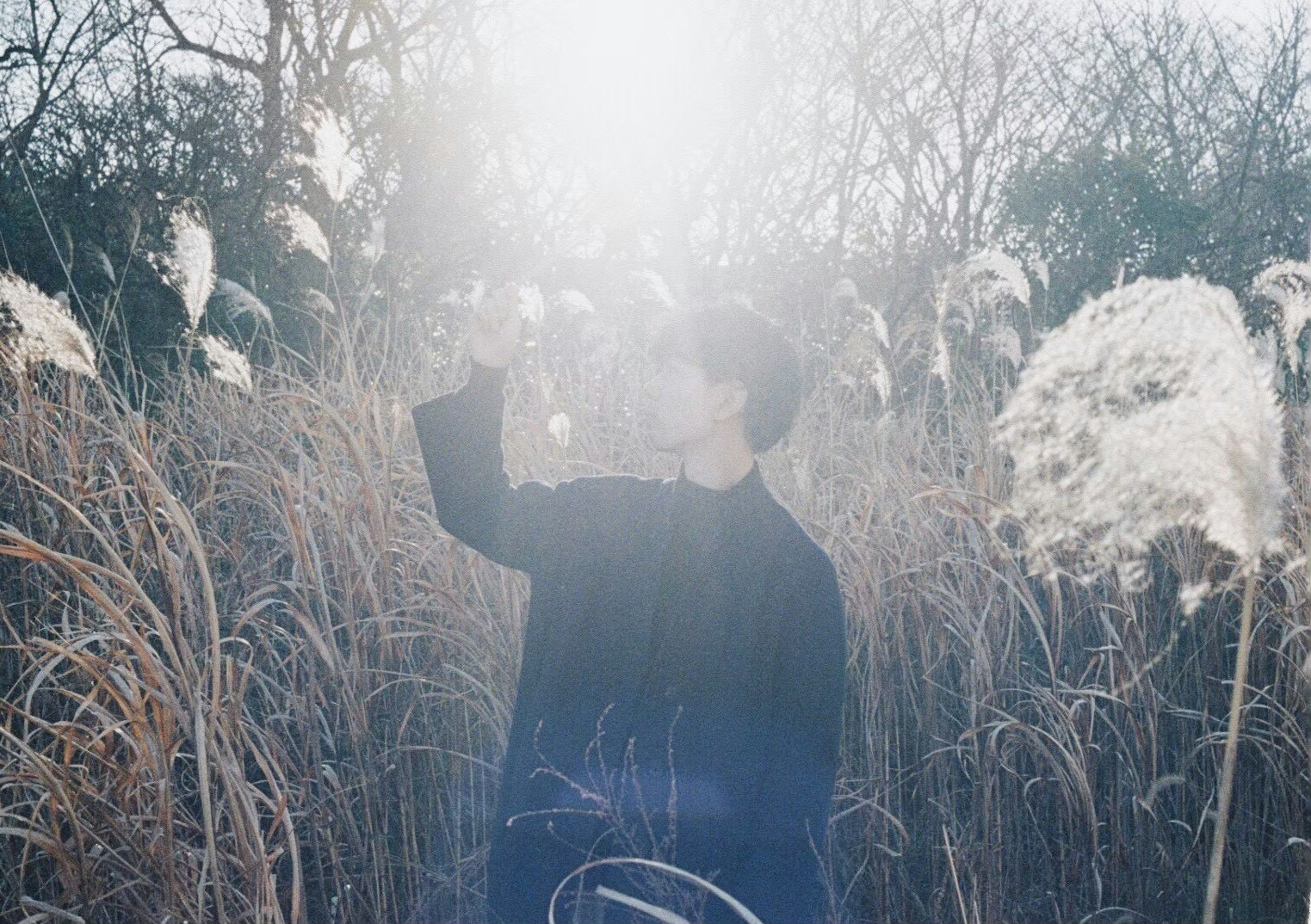 A person standing in a field bathed in sunlight