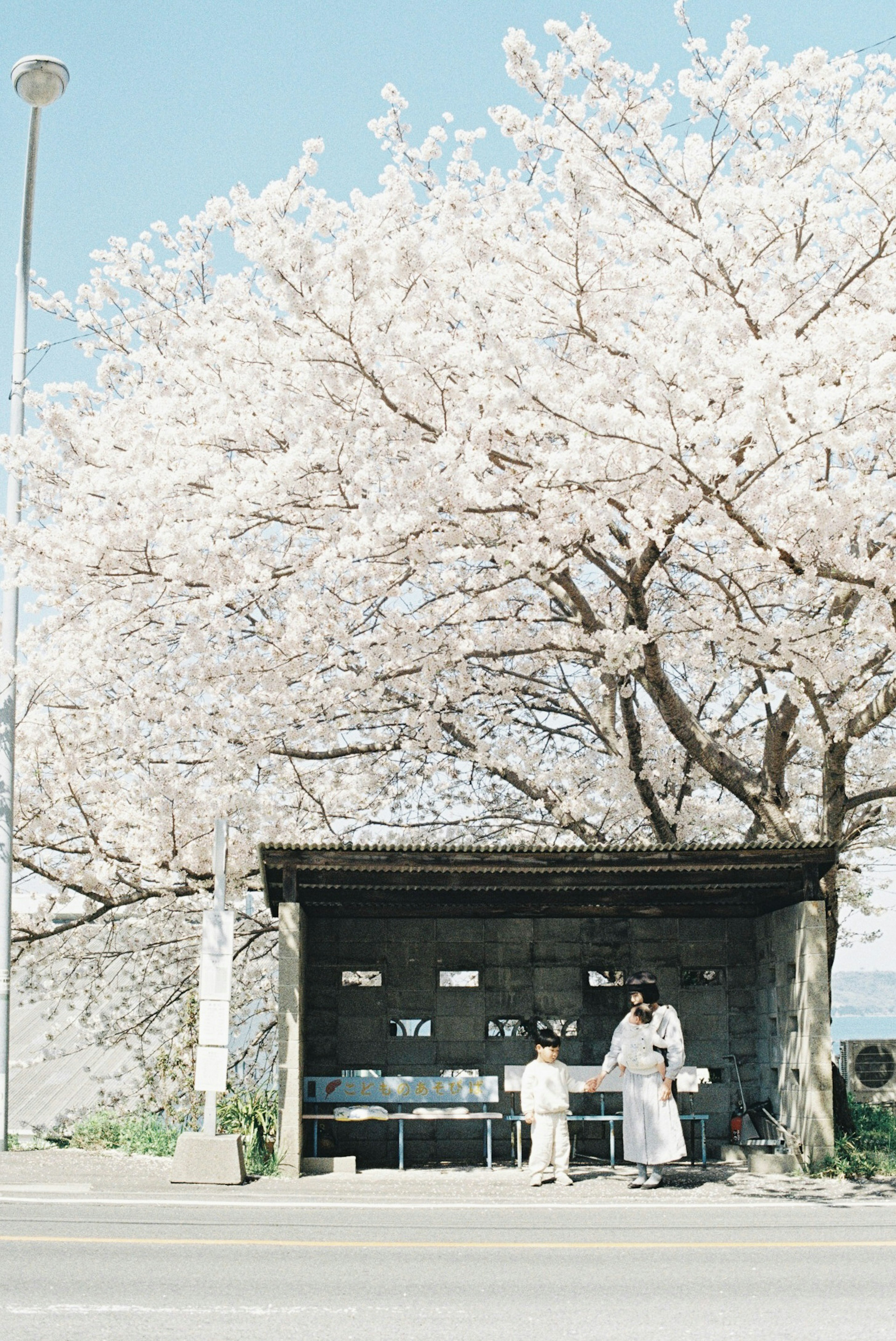 桜の木の下で販売している人と屋台のある風景