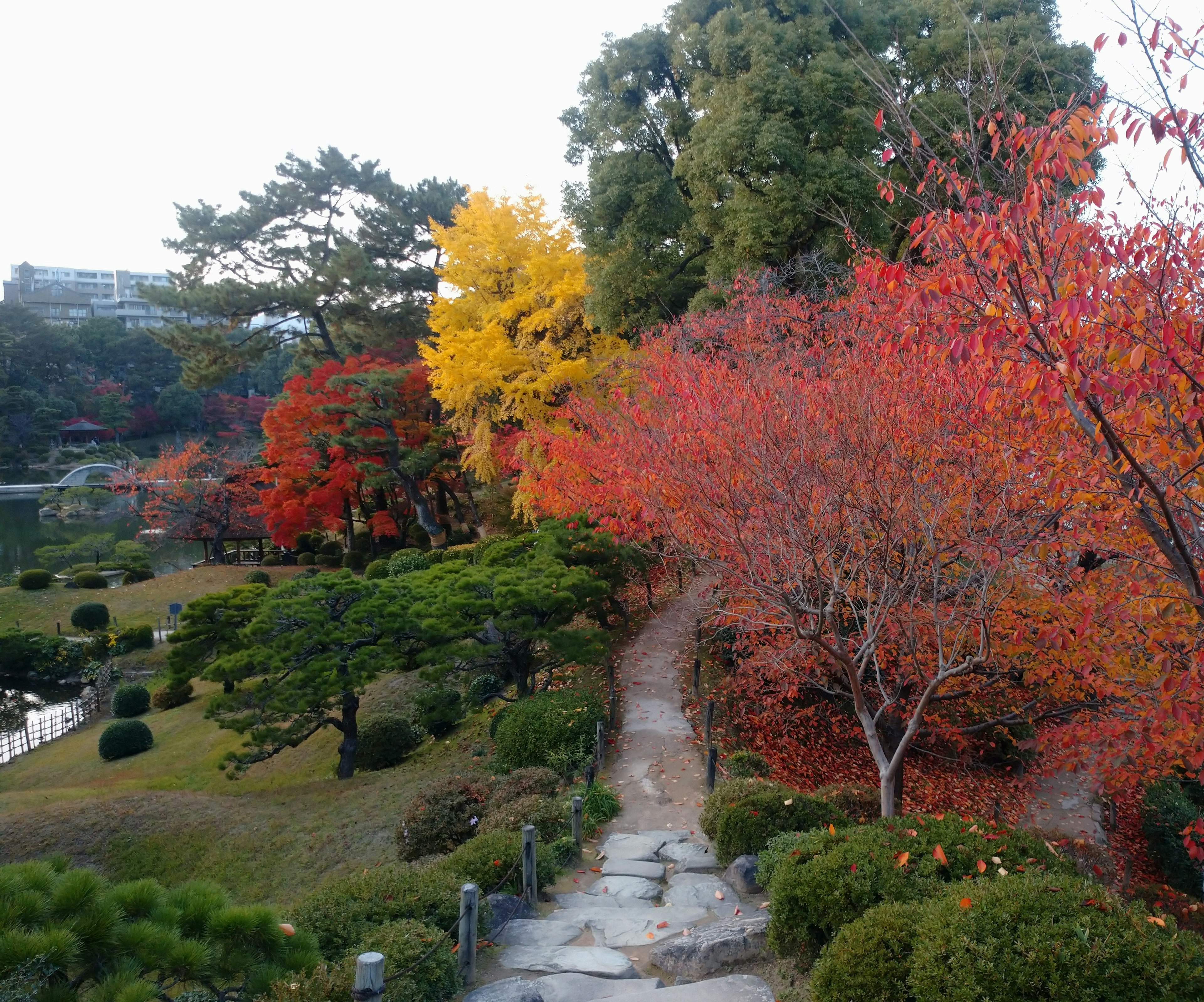 Vista panoramica di un parco con fogliame autunnale vibrante in foglie rosse e gialle lungo un sentiero di pietra