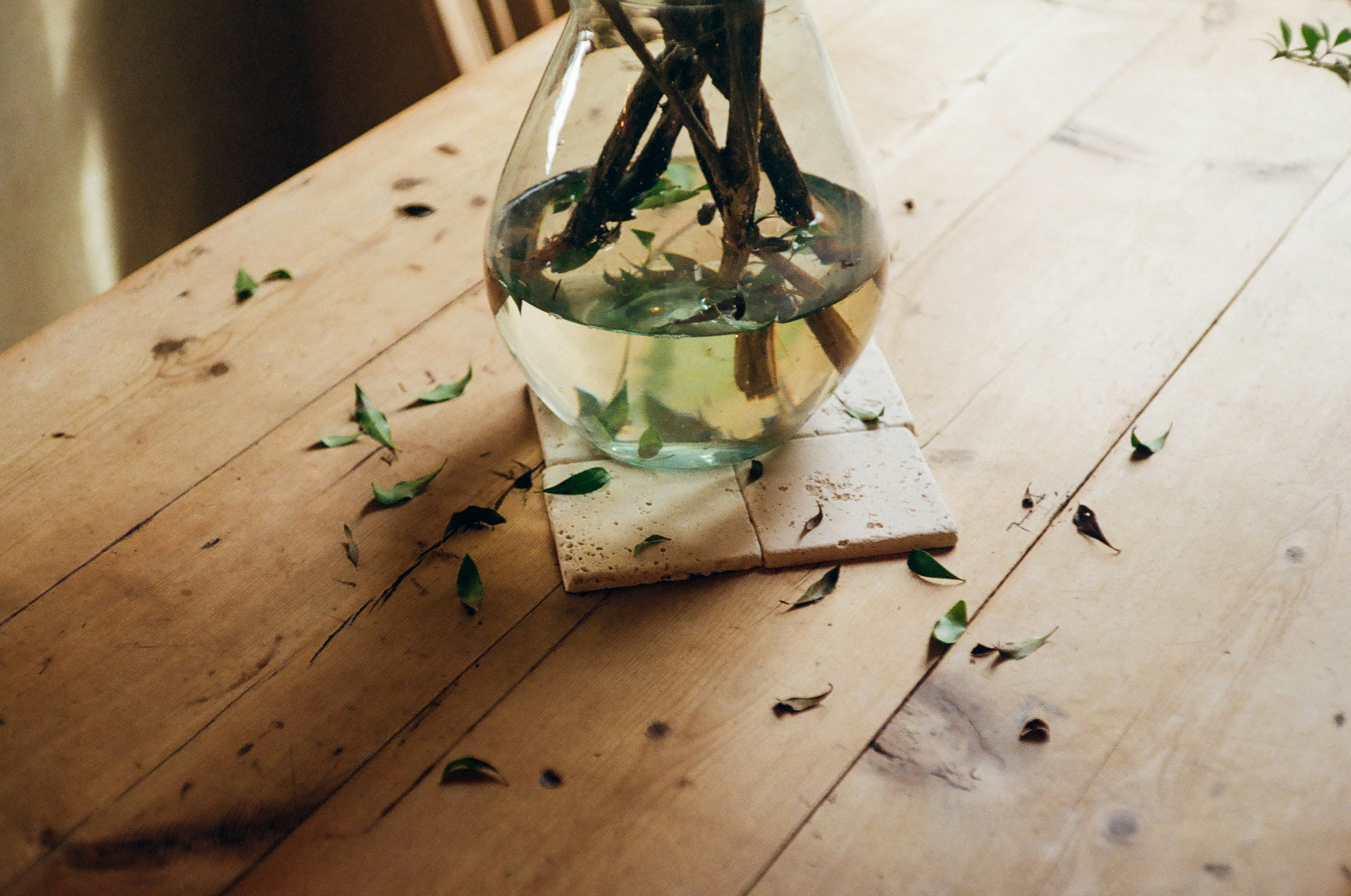 A transparent vase with floating leaves on a wooden table