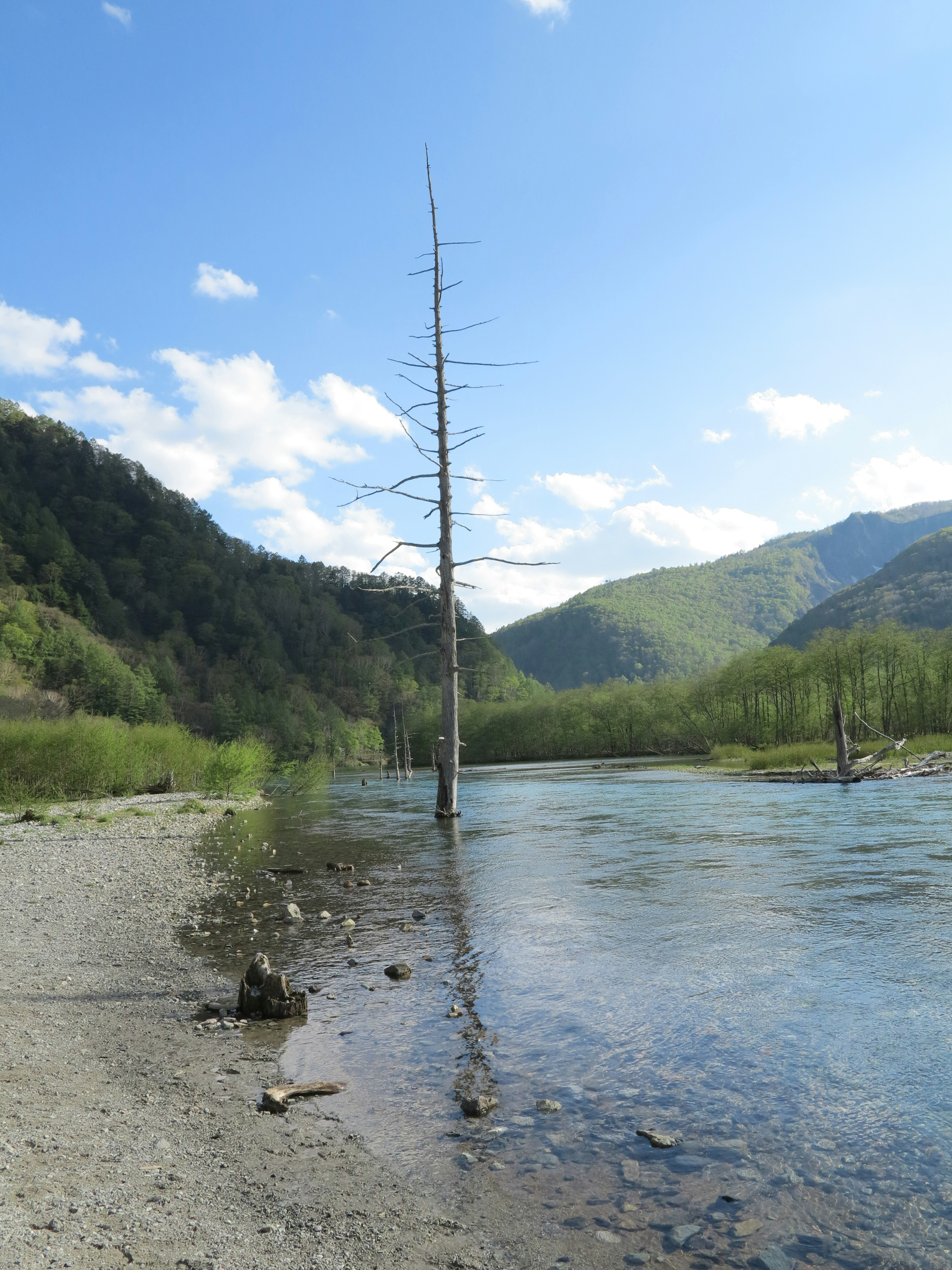 青空の下にある川と山の風景枯れた木が水に立っている