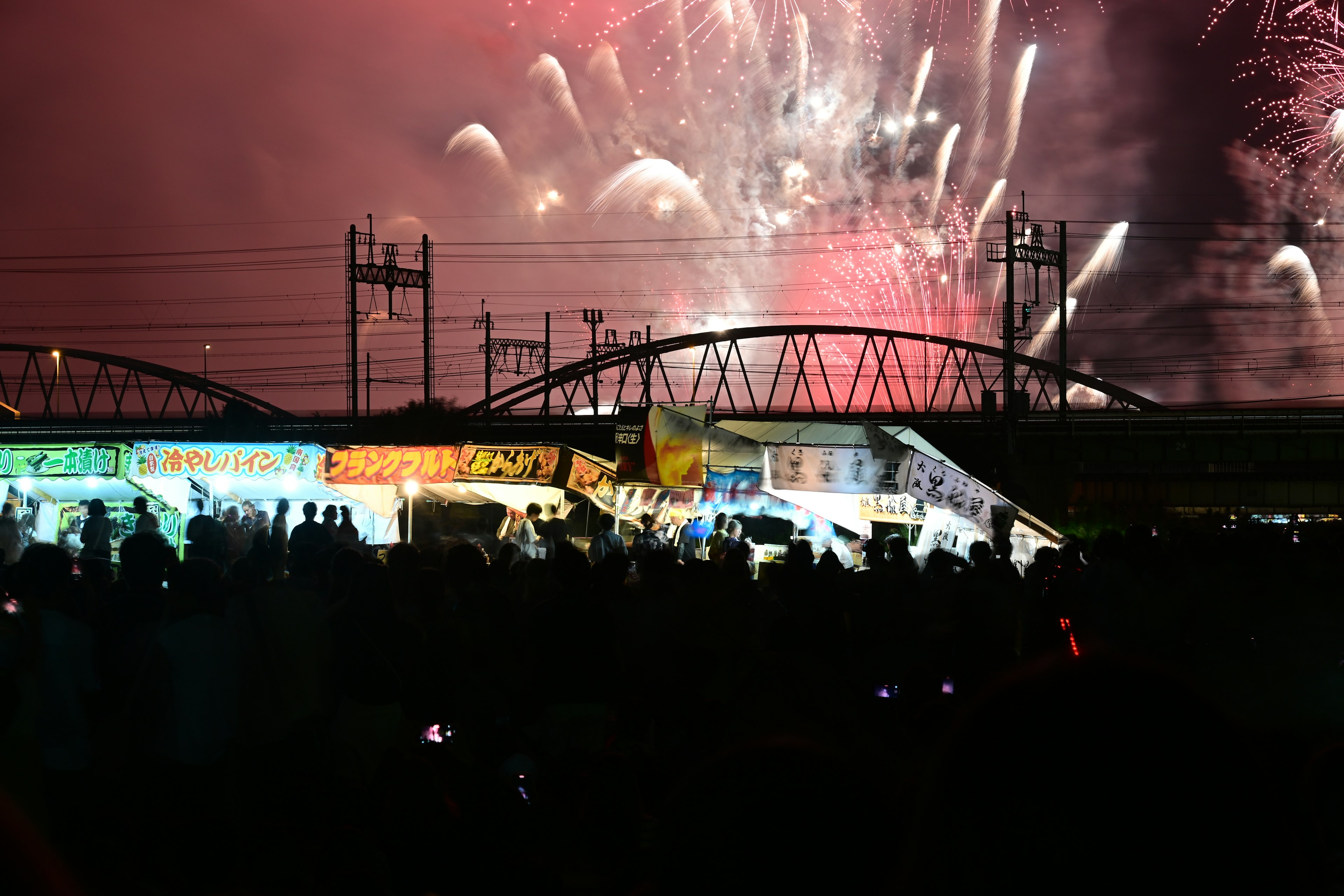 Crowd gathered under a night sky with fireworks display