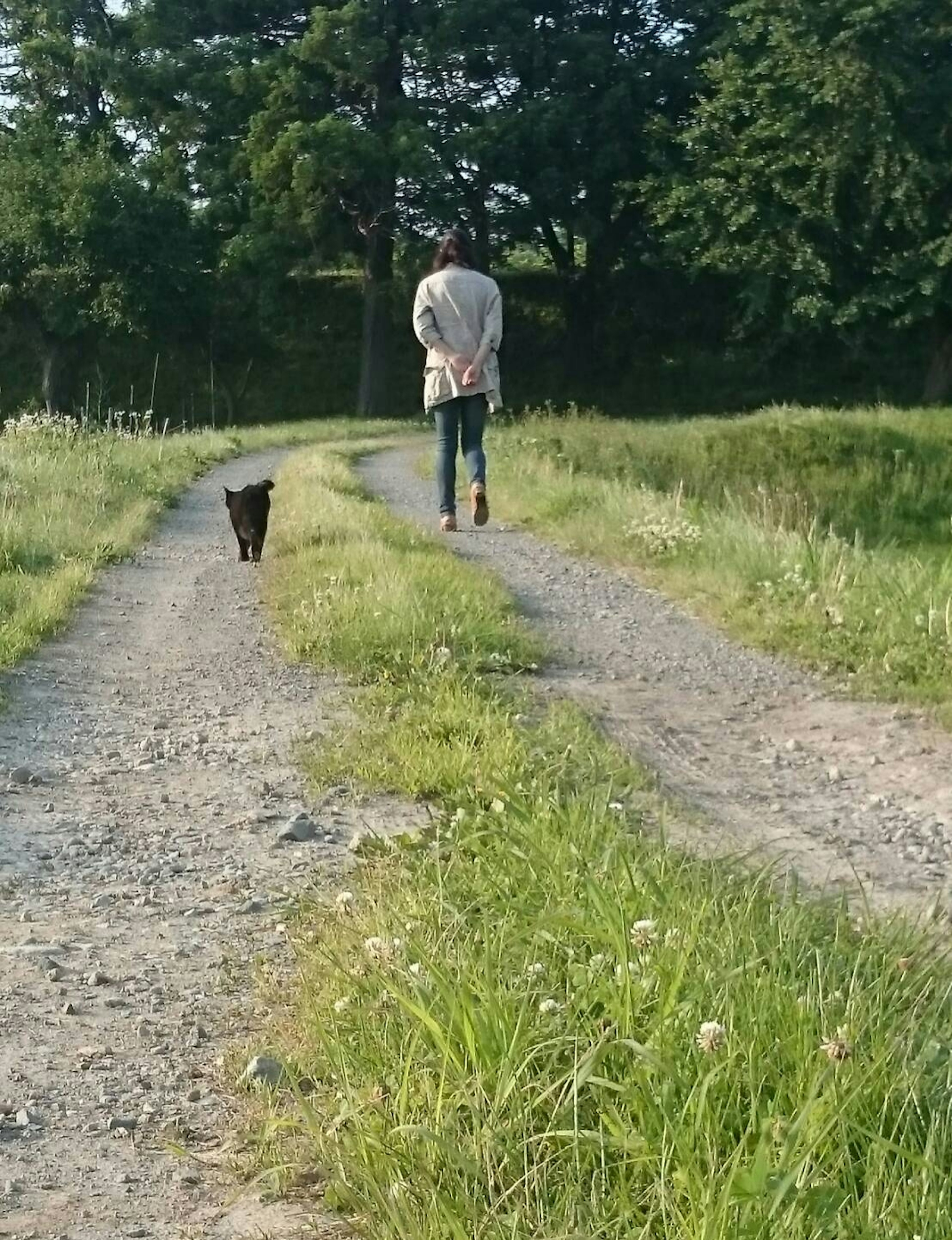 草原を歩く人と犬の後ろ姿