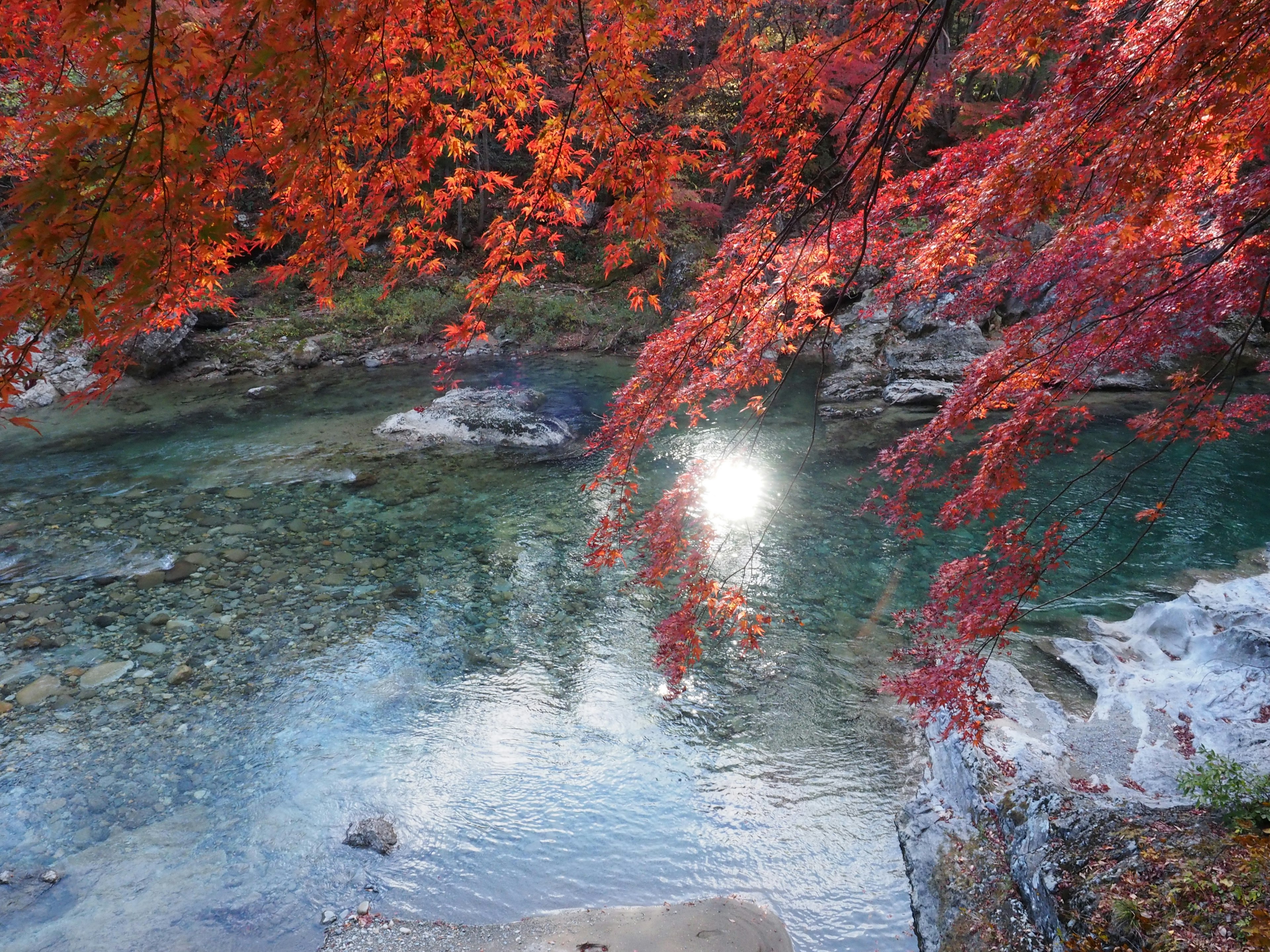 Vista escénica de follaje de otoño sobre un río tranquilo