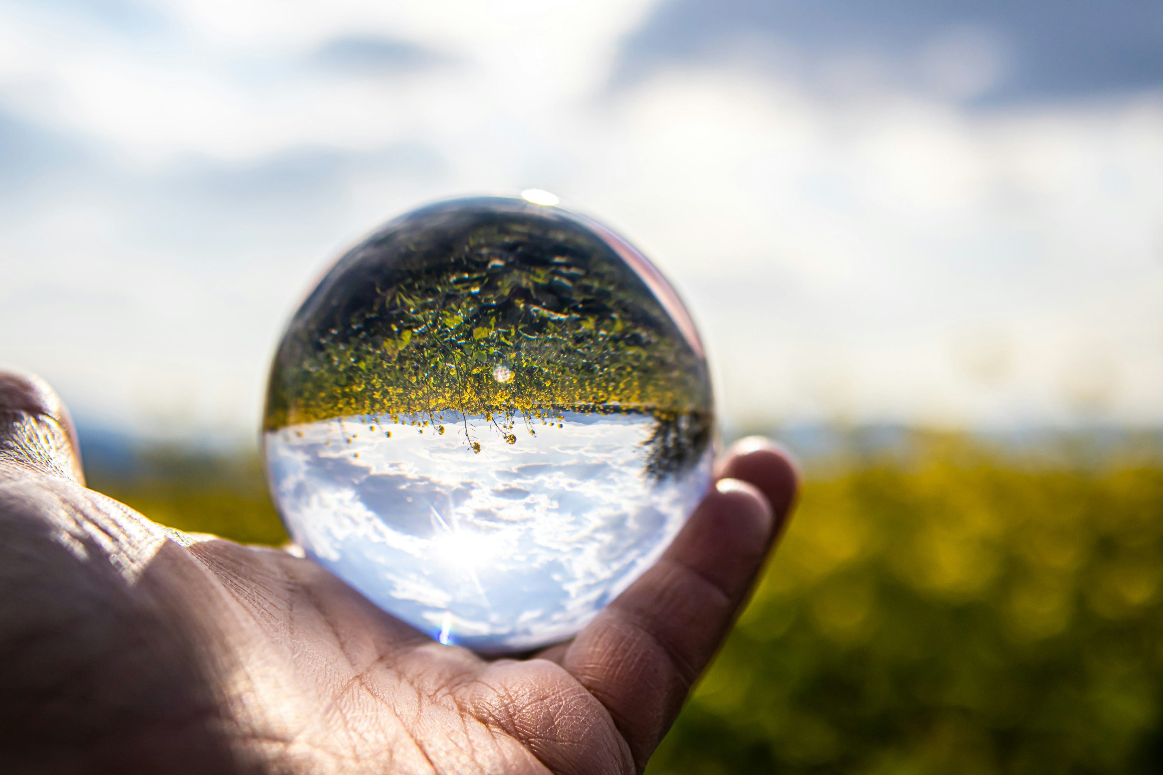 A crystal ball held in a hand reflecting a vibrant natural landscape