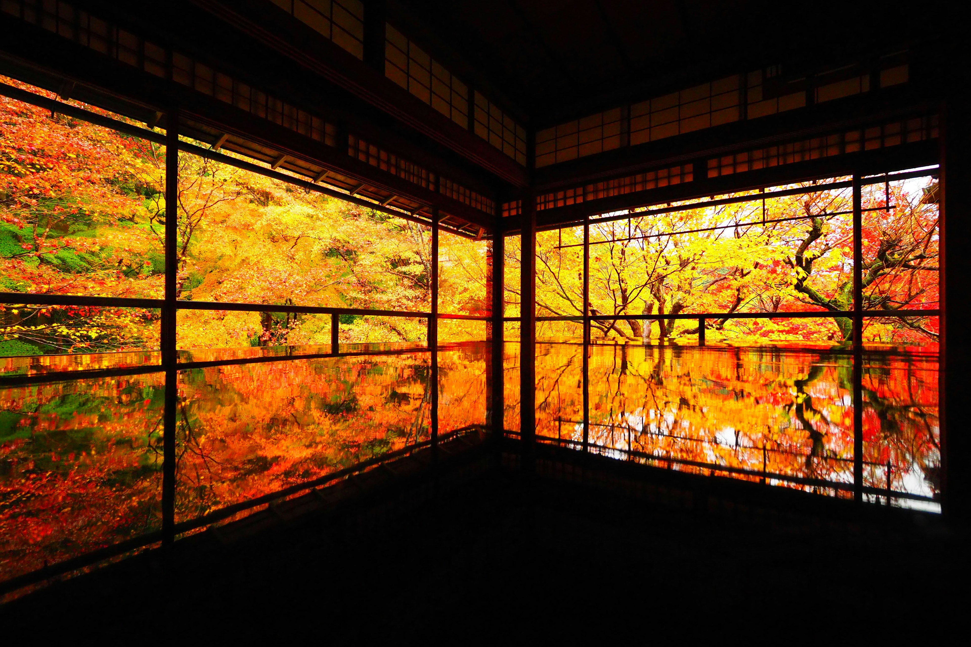 Traditionelles japanisches Interieur mit beeindruckenden Reflexionen von Herbstlaub