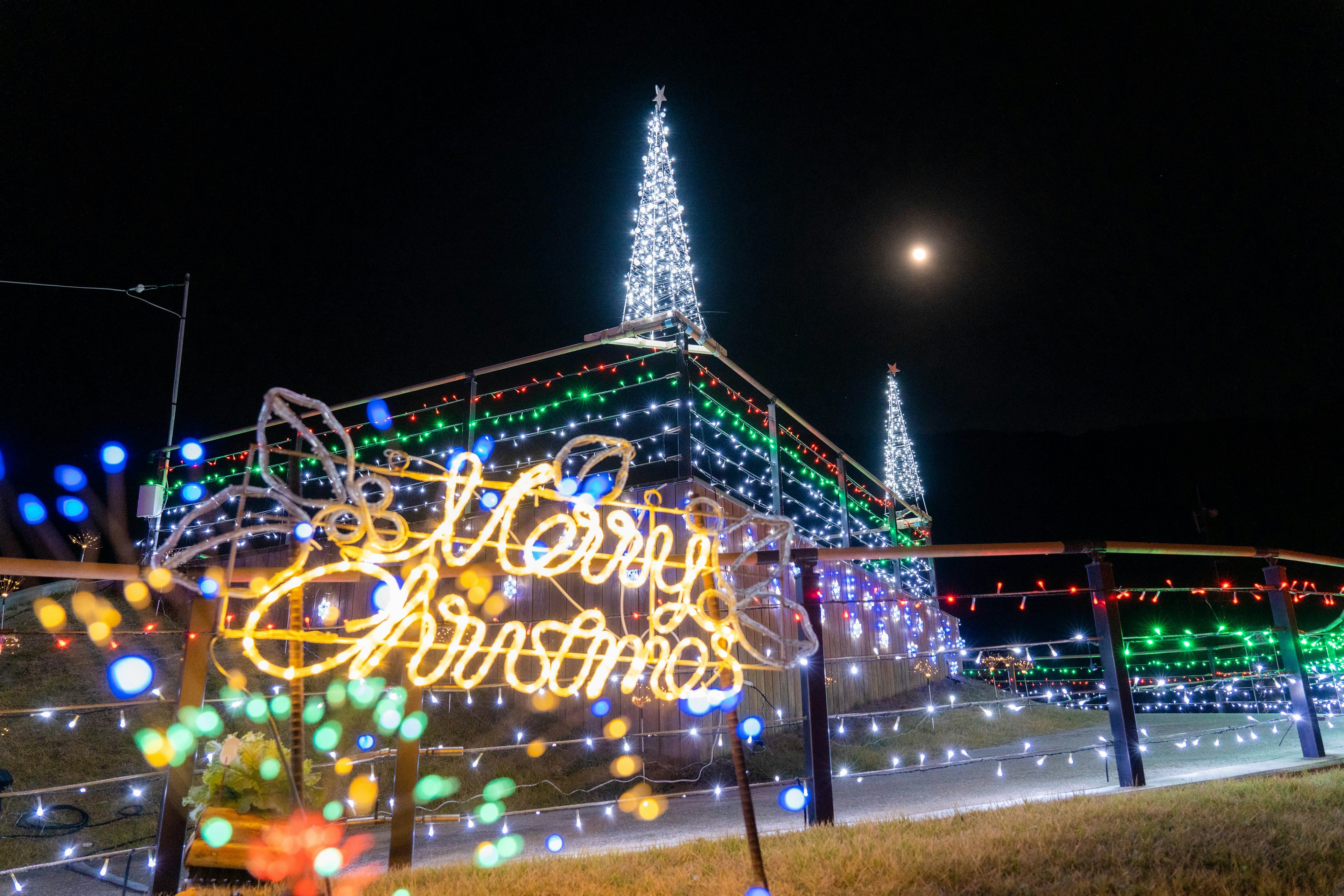 Décorations de Noël avec un panneau 'Joyeux Noël' et des arbres illuminés la nuit