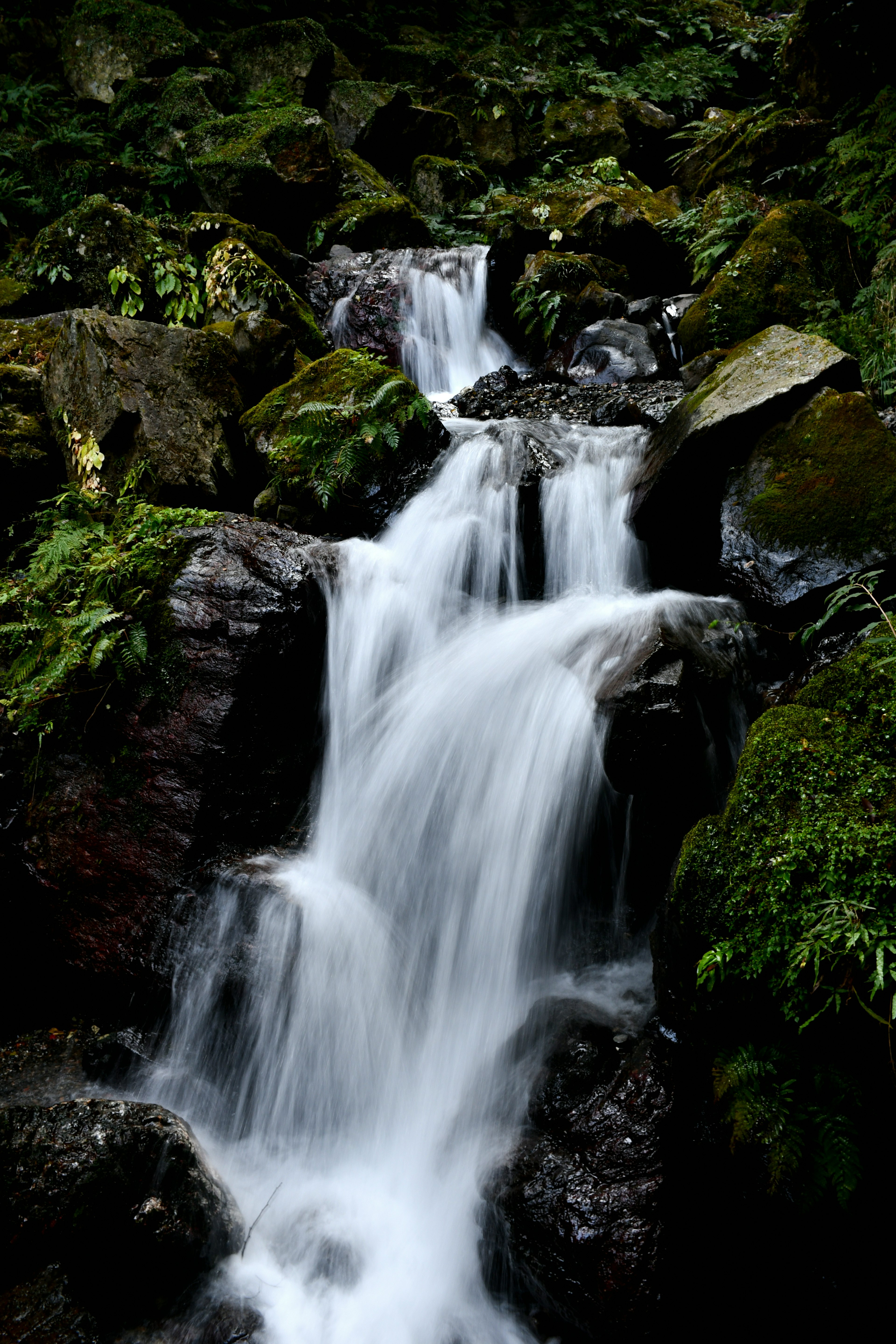 Hermosa cascada fluyendo a través de un entorno verde