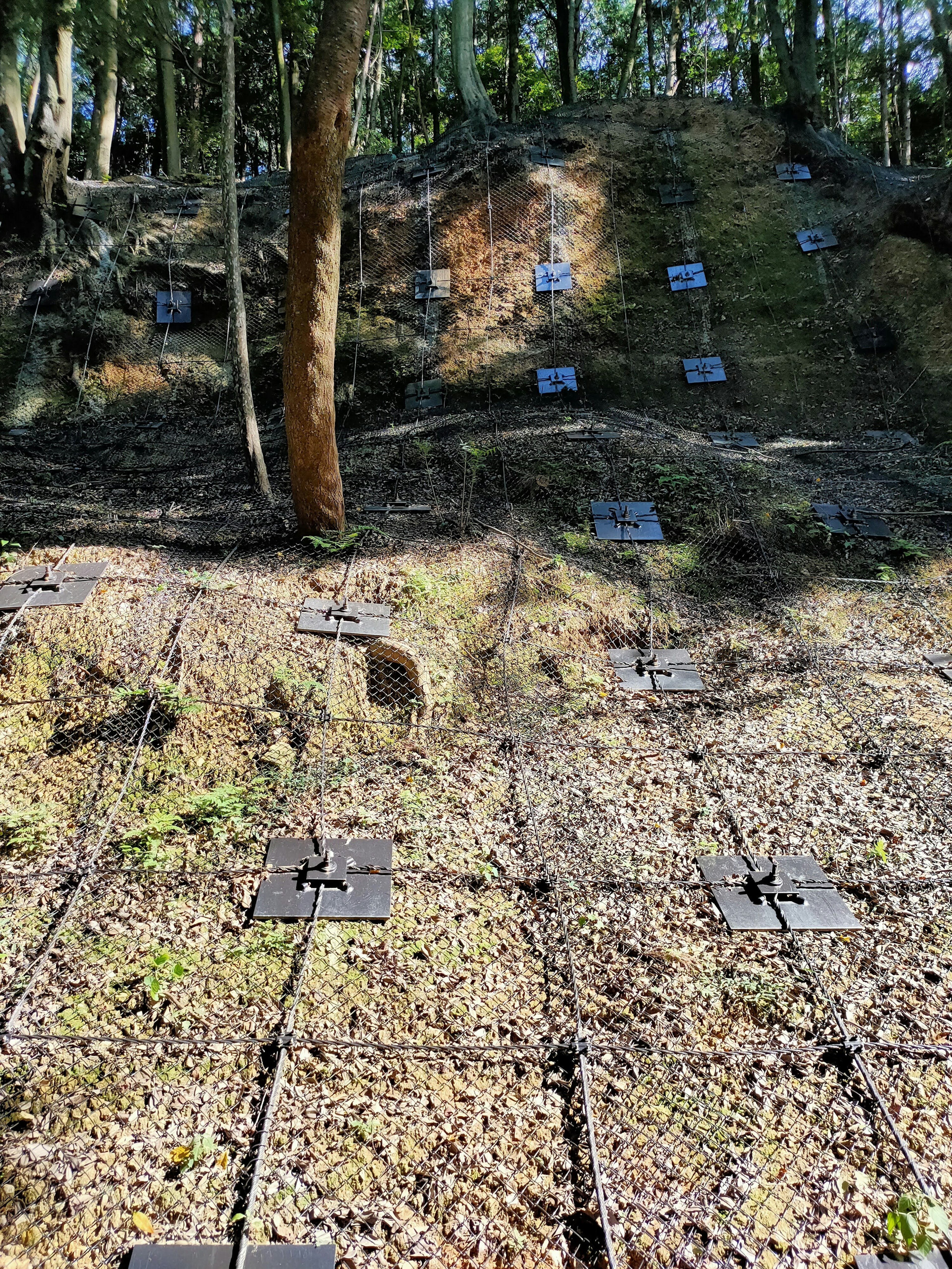 Scena di pannelli neri disposti su un terreno forestale in pendenza