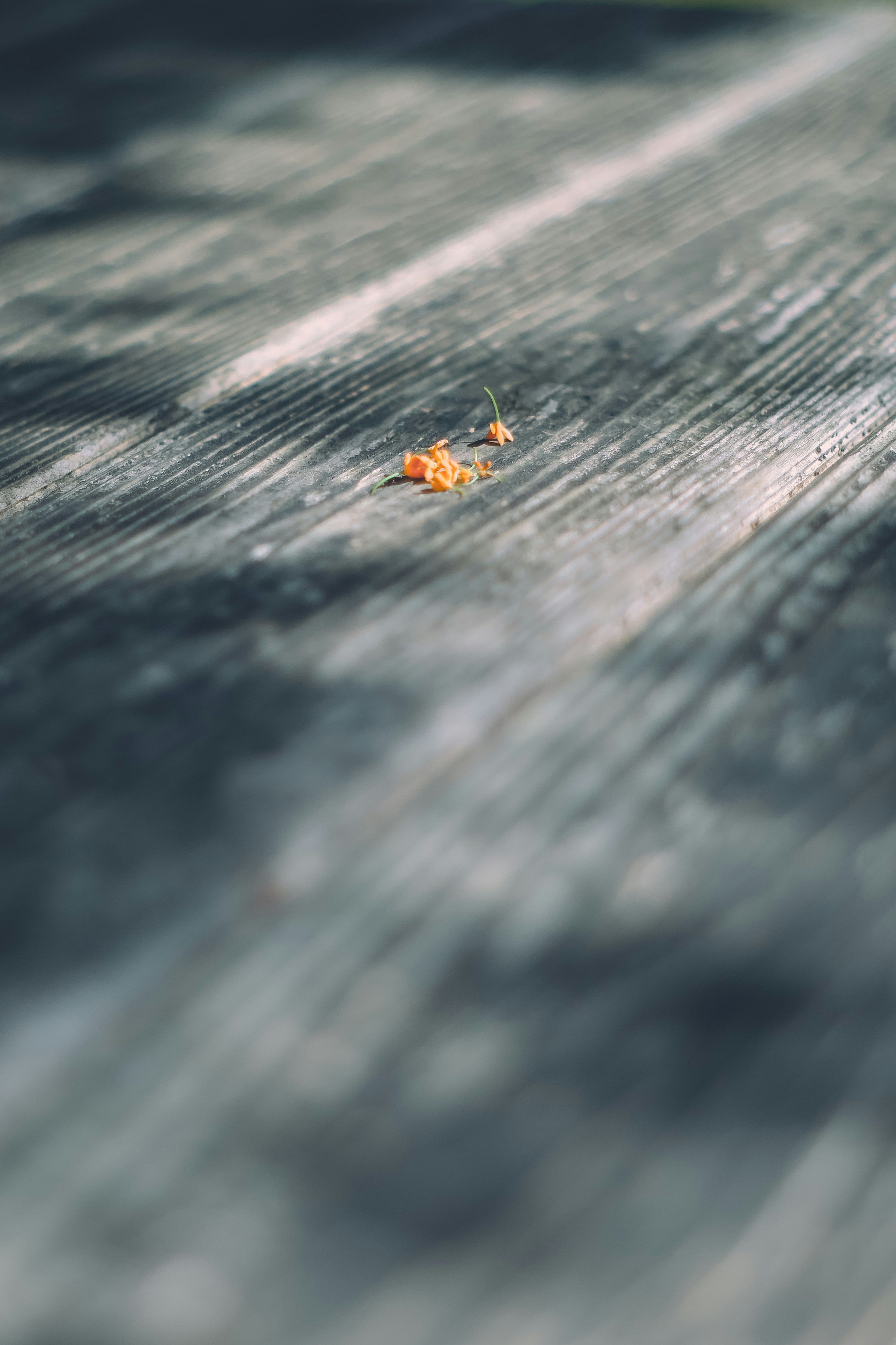 Un pequeño objeto naranja sobre una superficie de madera