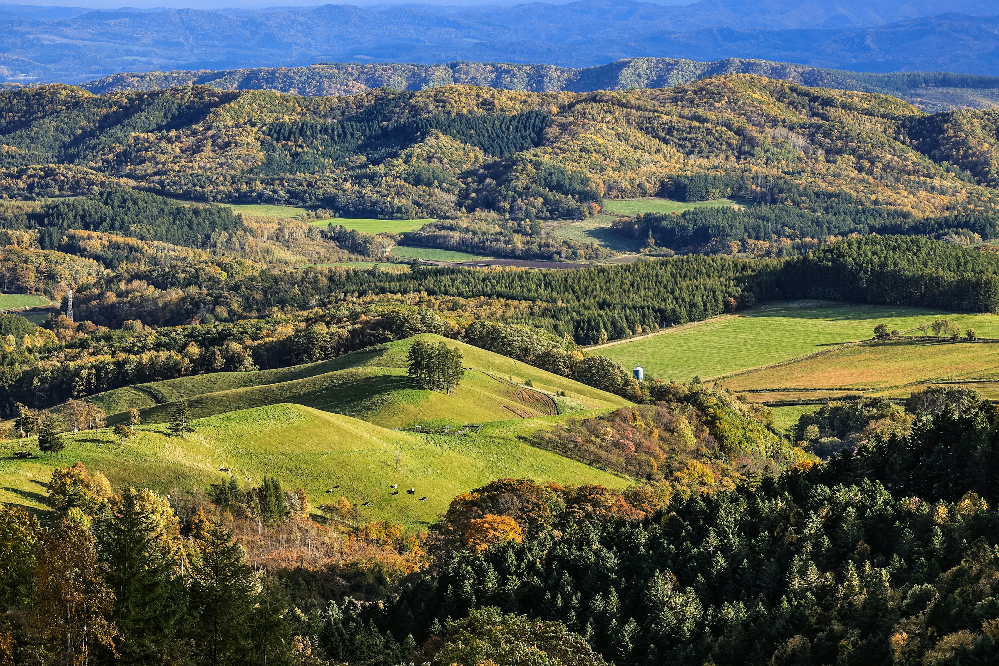 Paysage vallonné verdoyant avec des couleurs d'automne