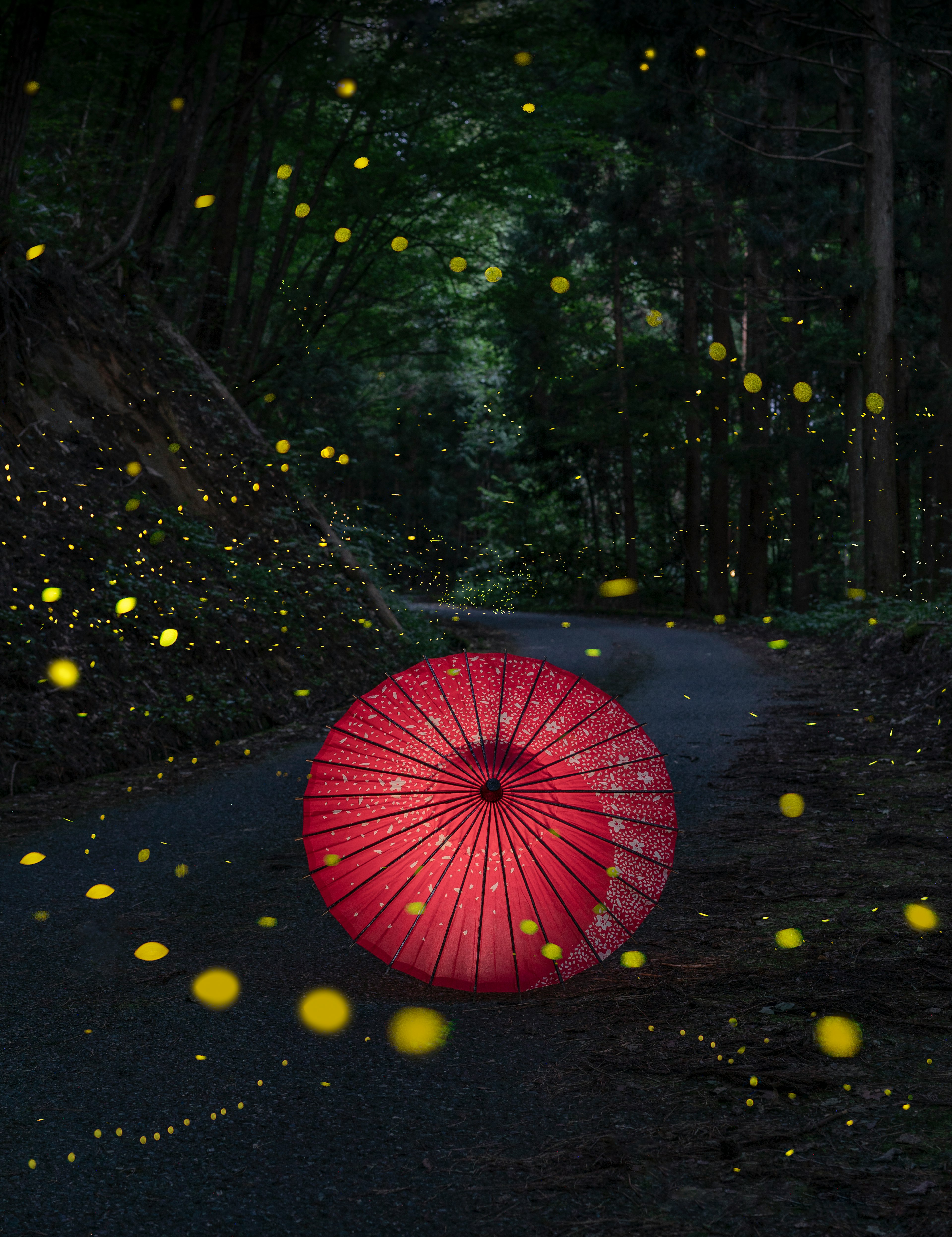 Una lanterna rossa su un sentiero oscuro nella foresta circondata da lucciole luminose