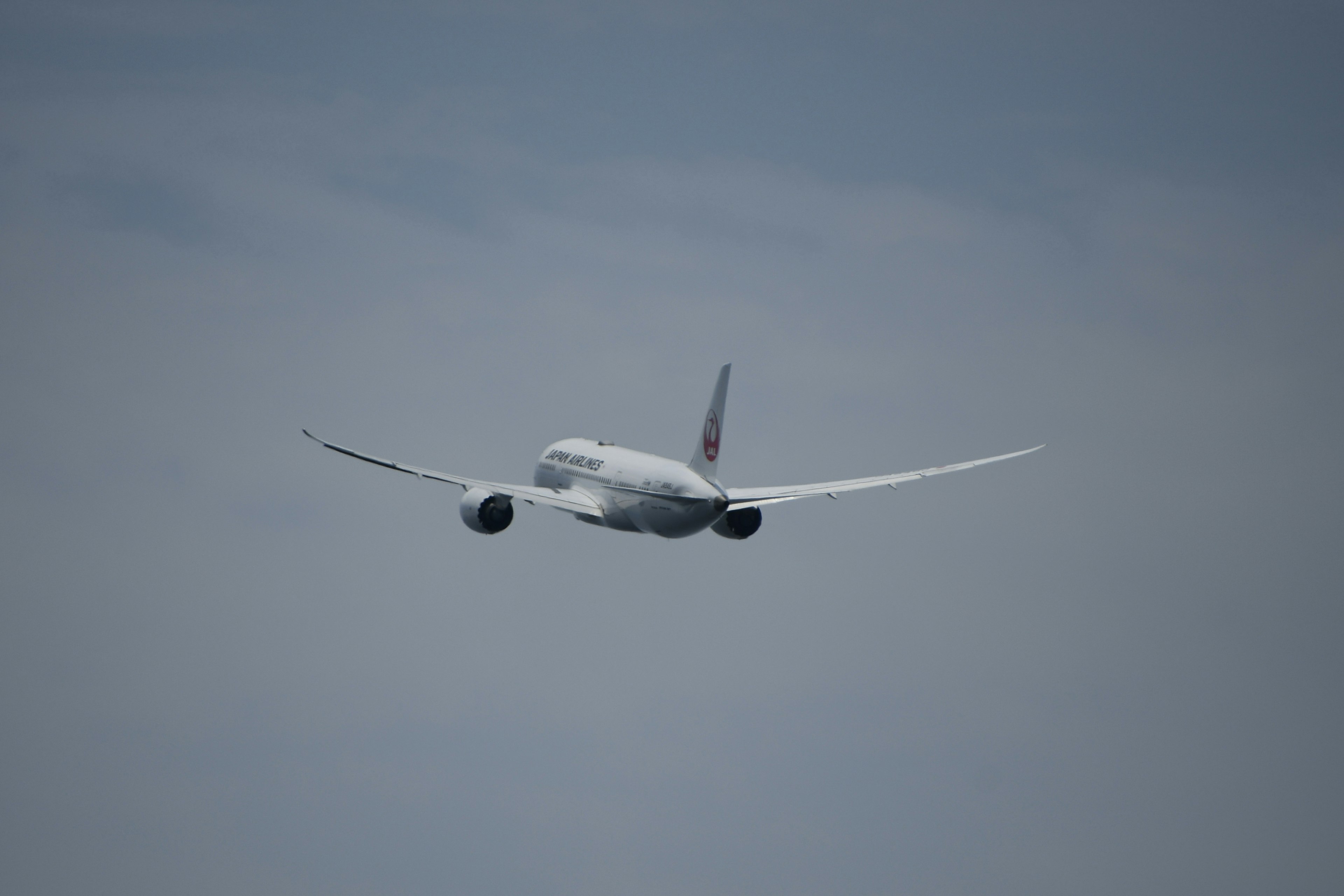 Weißes Passagierflugzeug fliegt am Himmel von hinten