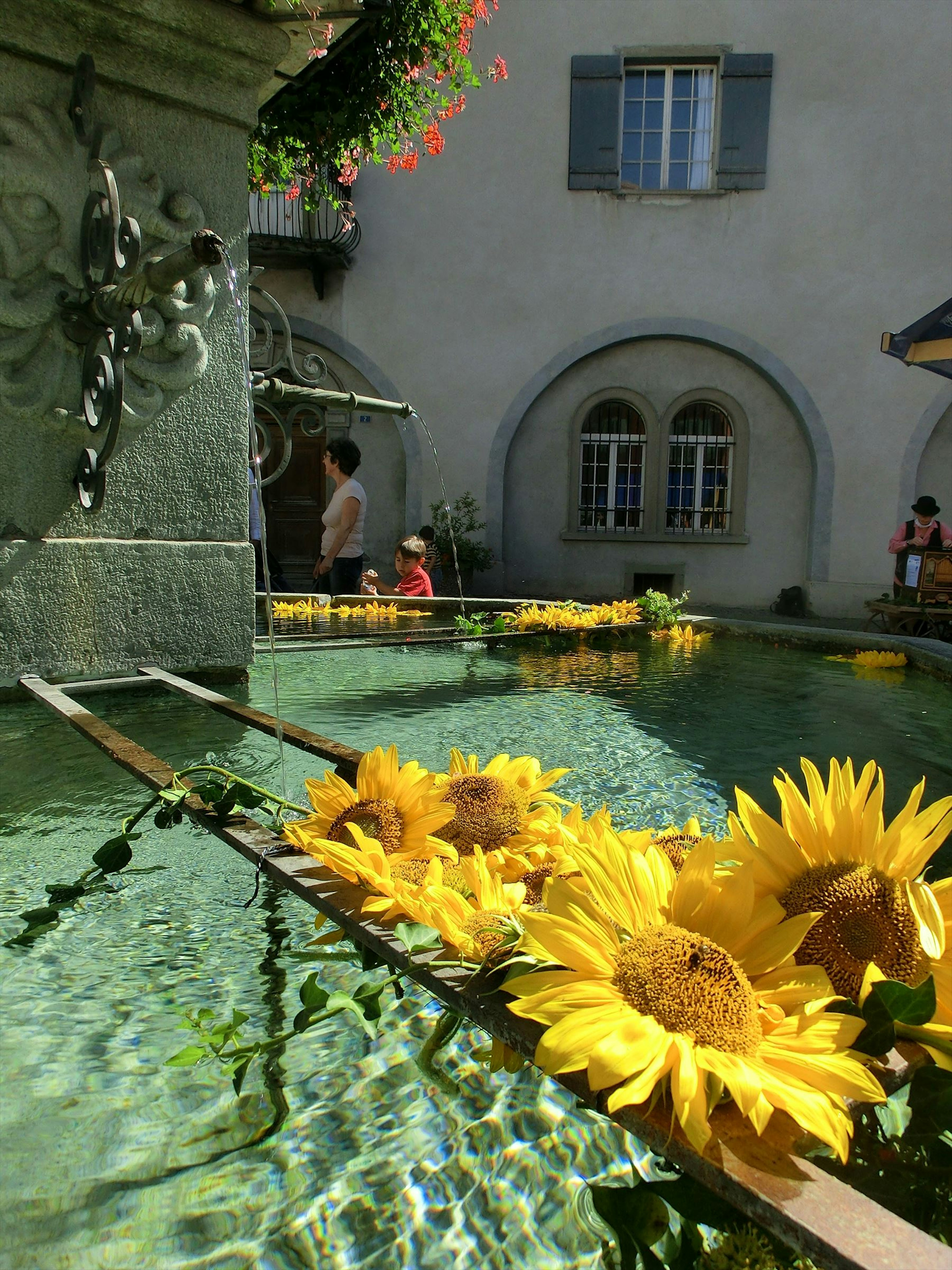 Un hermoso patio con girasoles flotando en la superficie del agua de una fuente