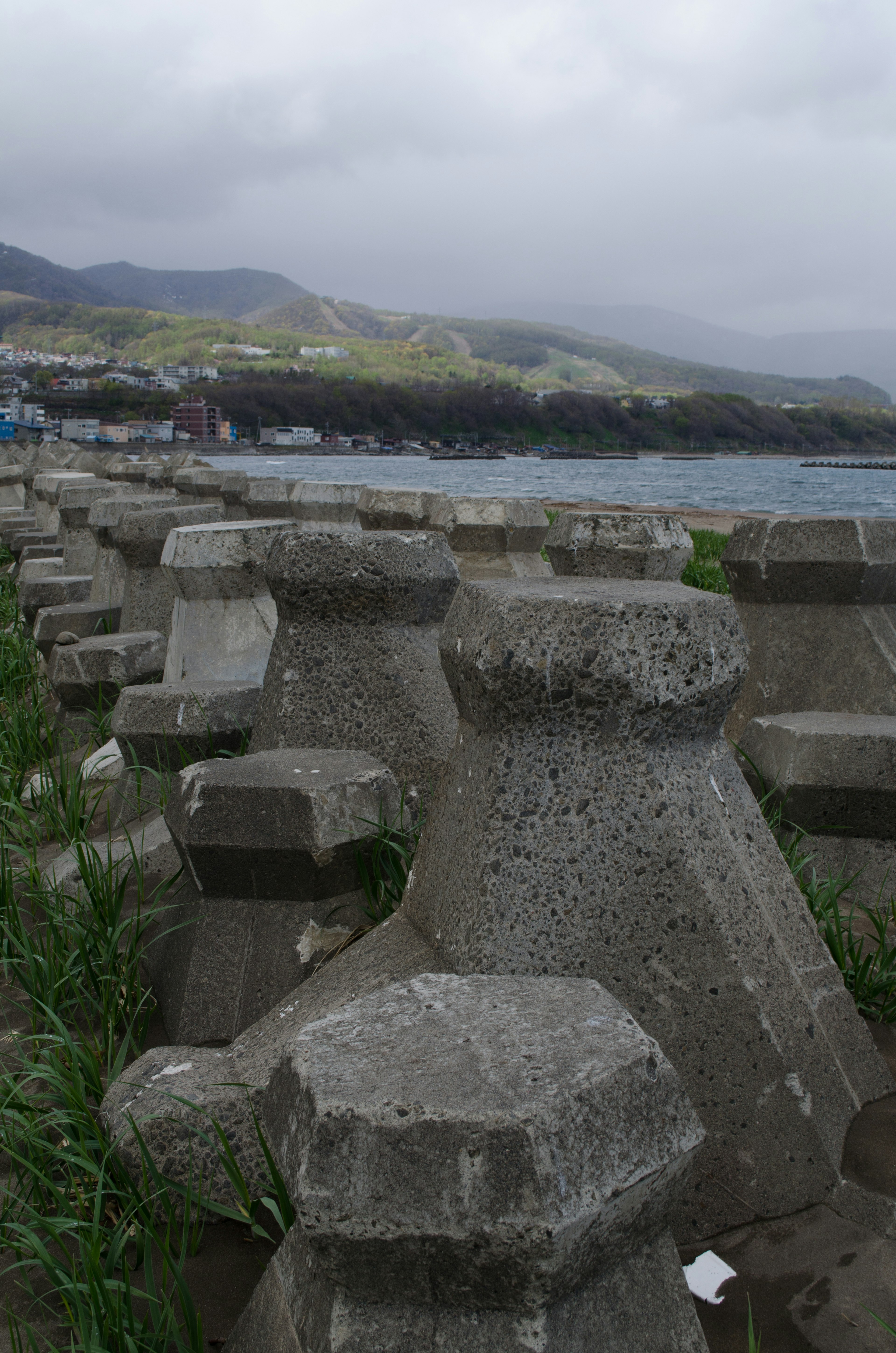 Blocs de béton côtiers avec de la verdure et des collines lointaines