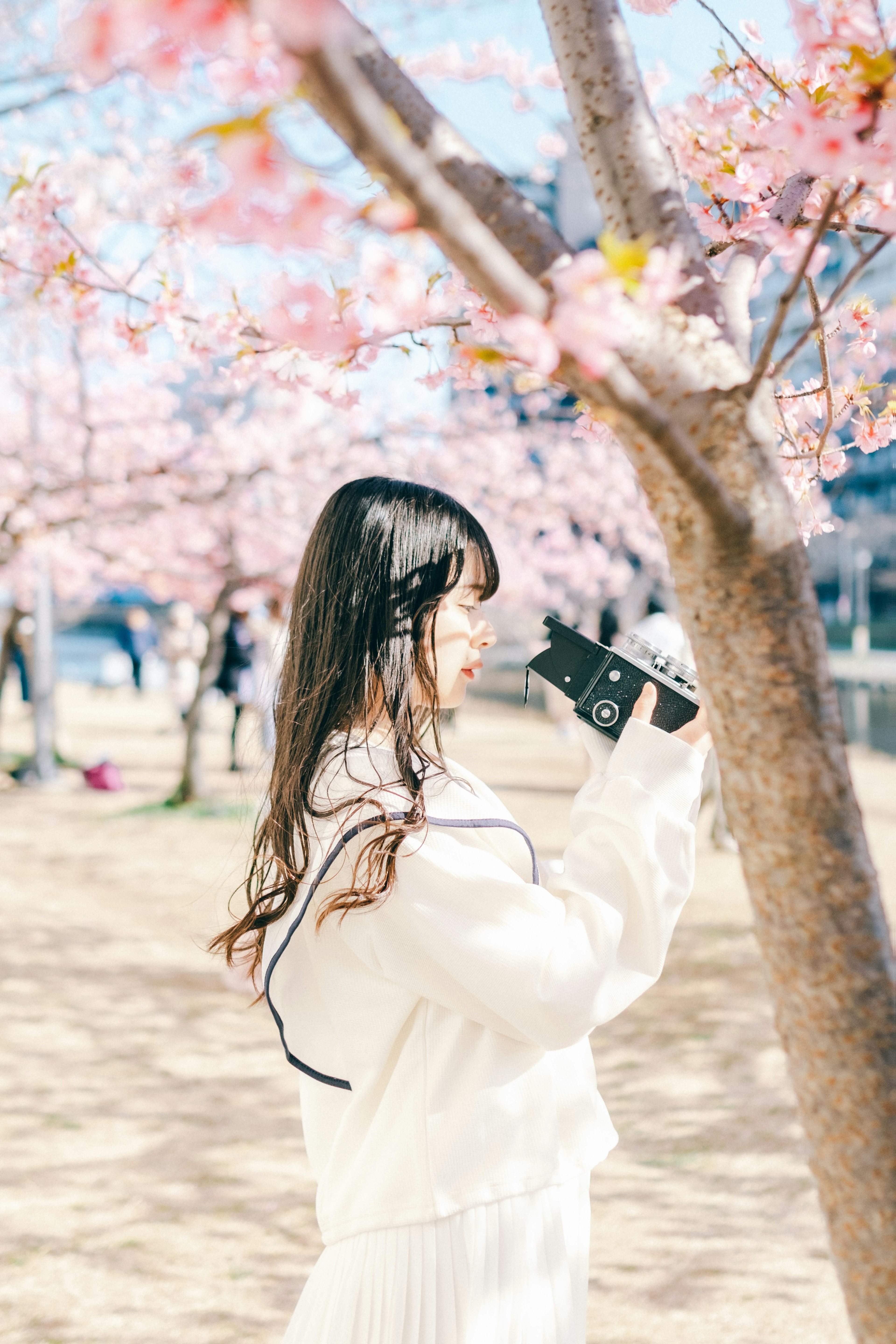 Donna in abbigliamento bianco che tiene una macchina fotografica sotto gli alberi di ciliegio