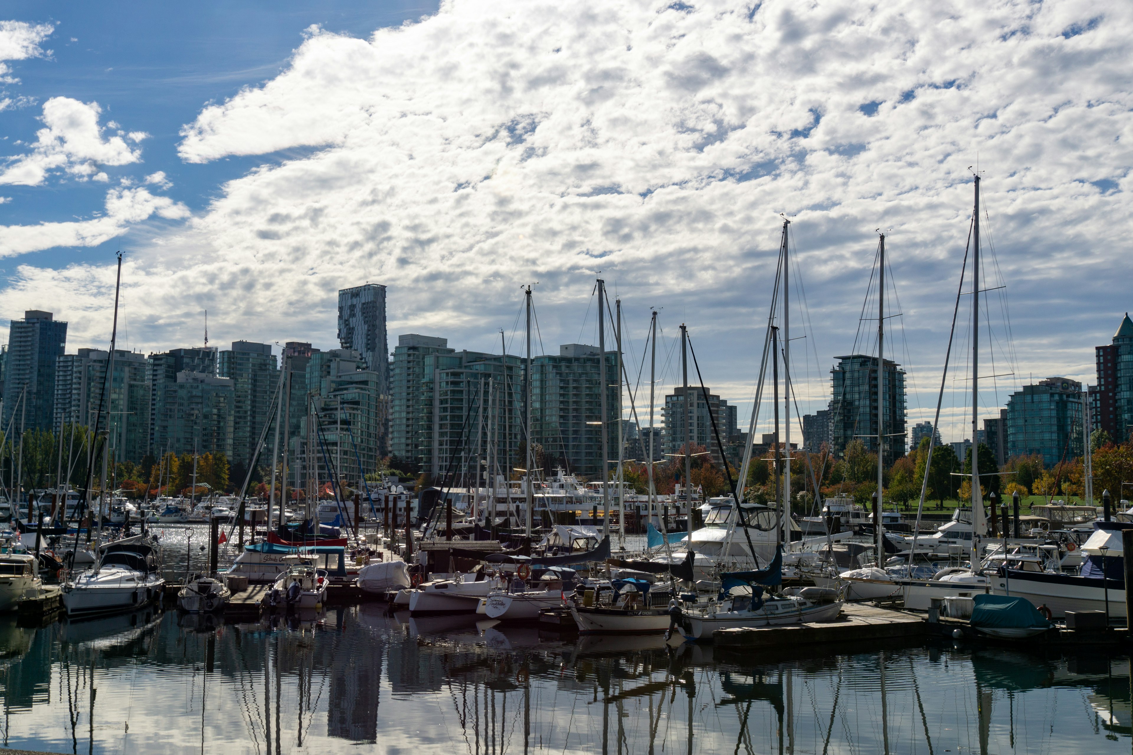 Blick auf den Hafen von Vancouver mit zahlreichen Yachten und Wolkenkratzern