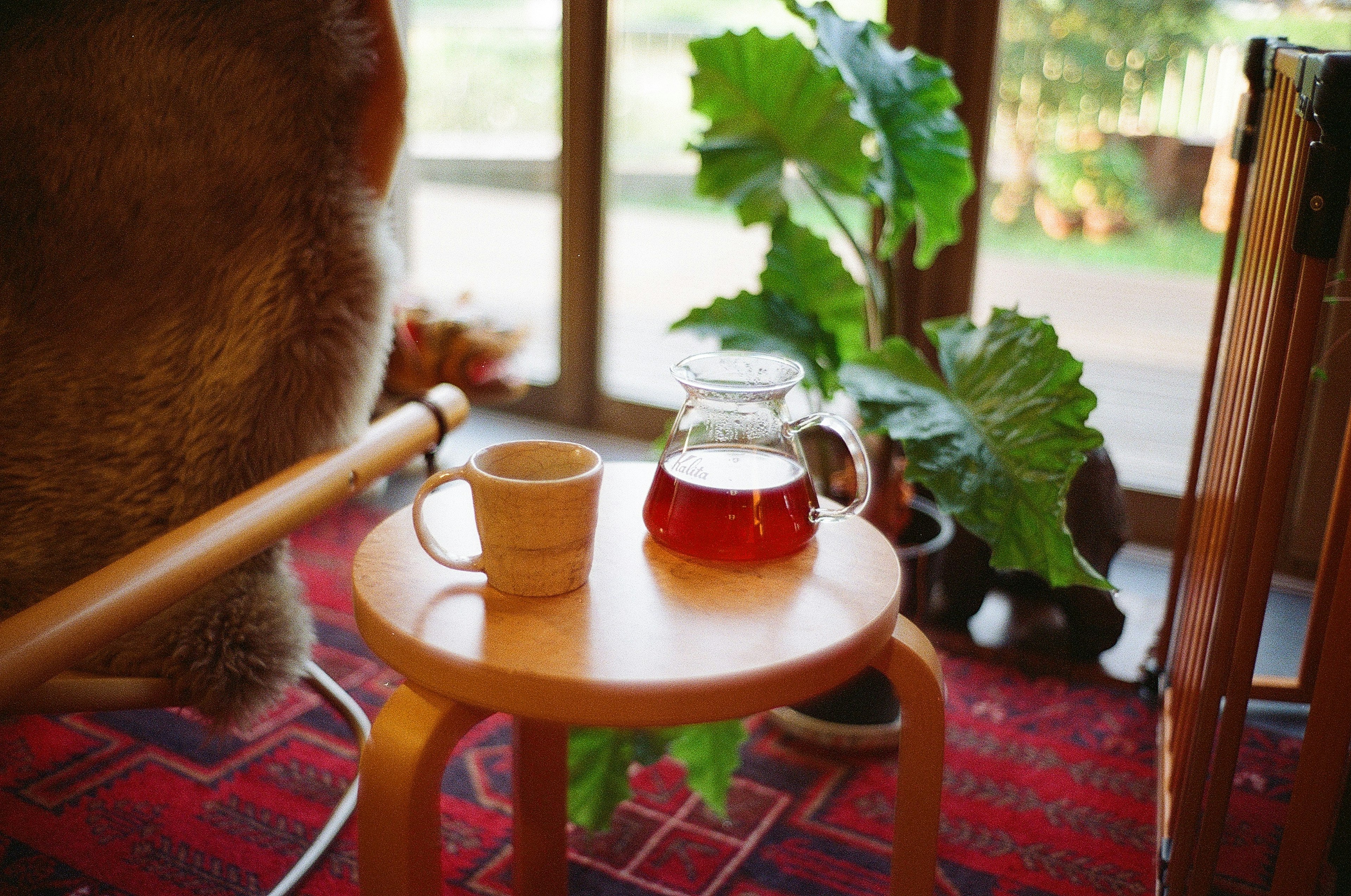 Une petite table près d'une fenêtre avec une tasse de thé et une théière, des plantes vertes en arrière-plan