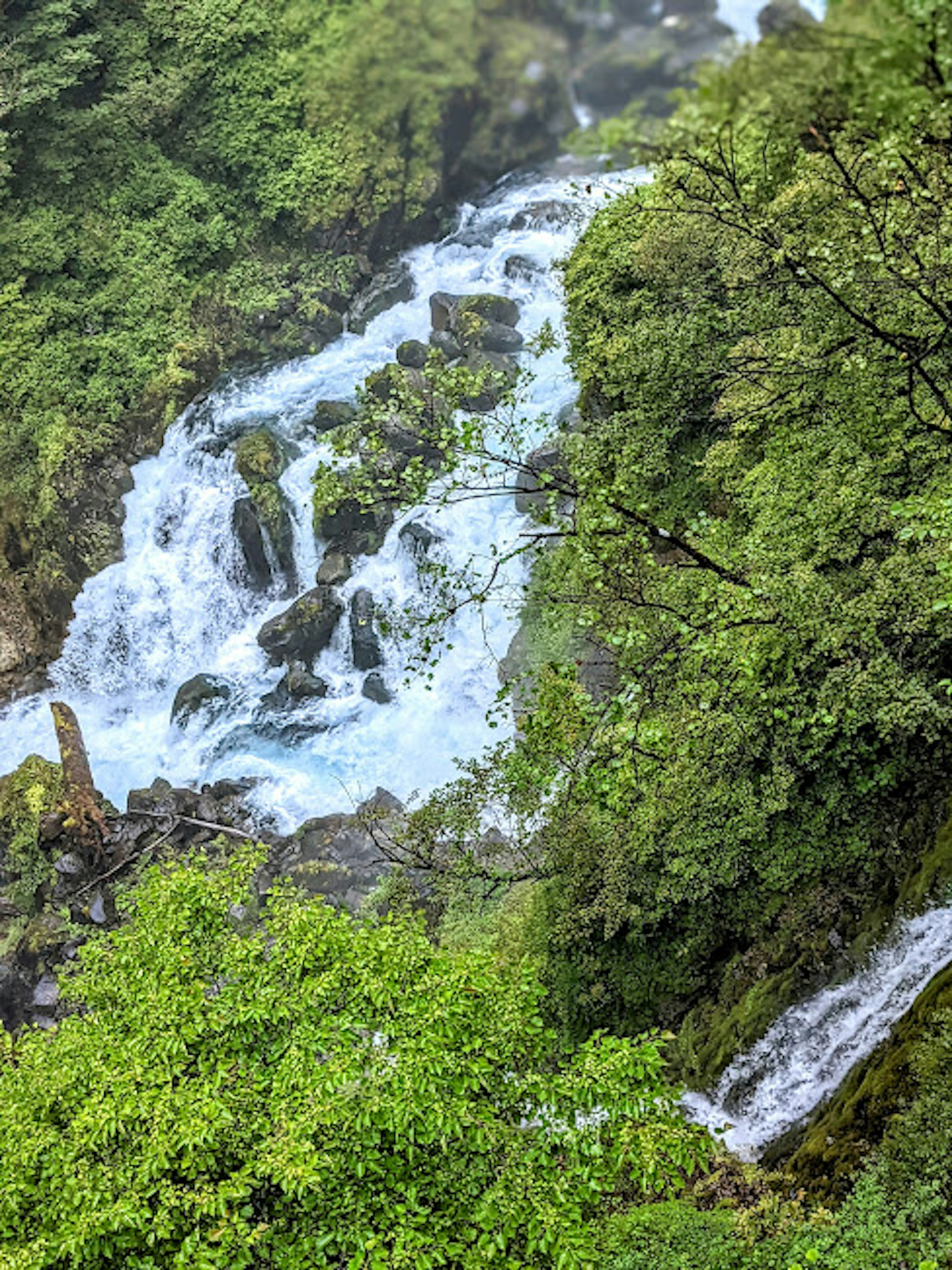 Wunderschöner Wasserfall, der durch üppige grüne Bäume fließt