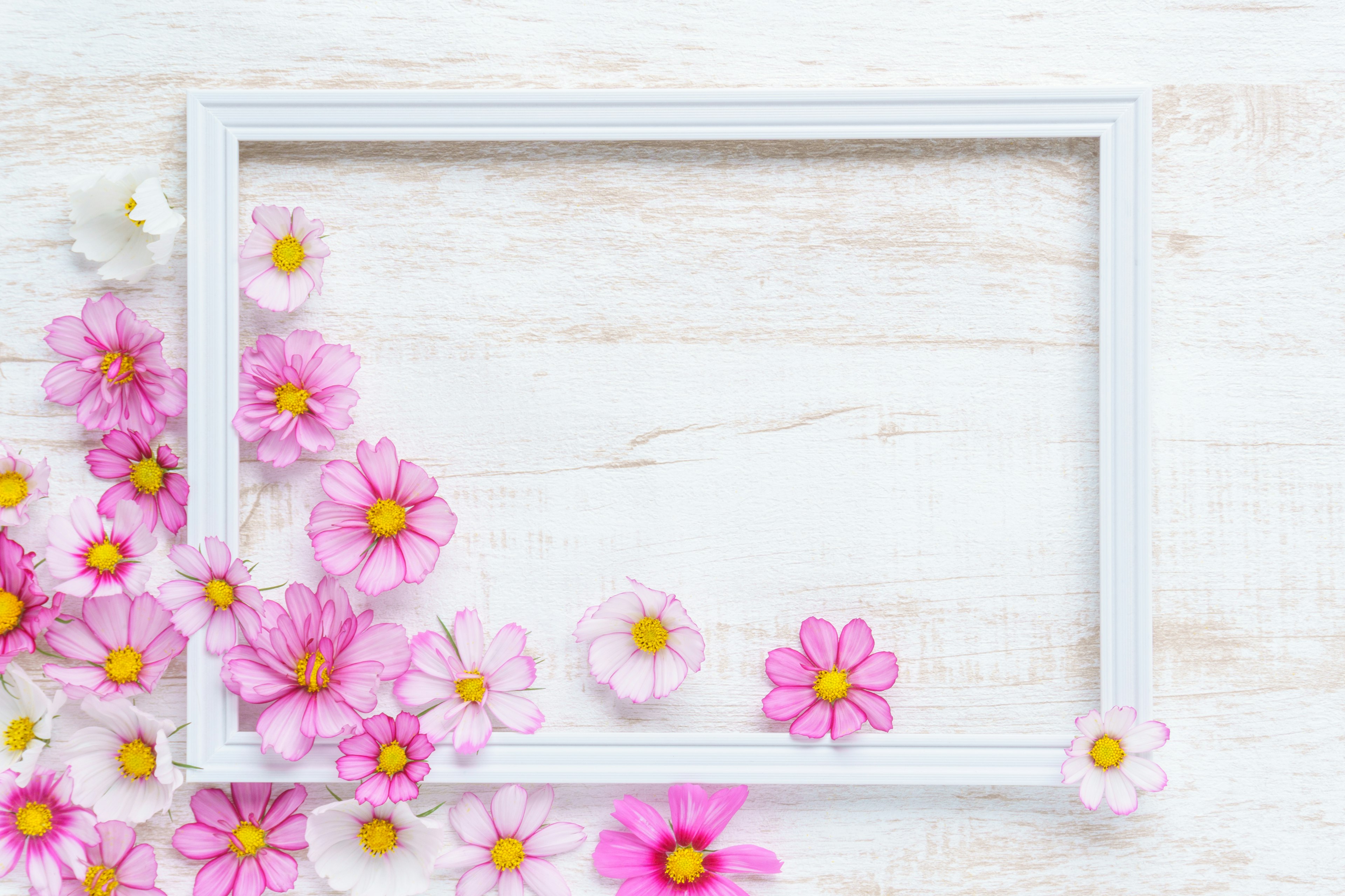 White frame surrounded by pink flowers on a light wooden background