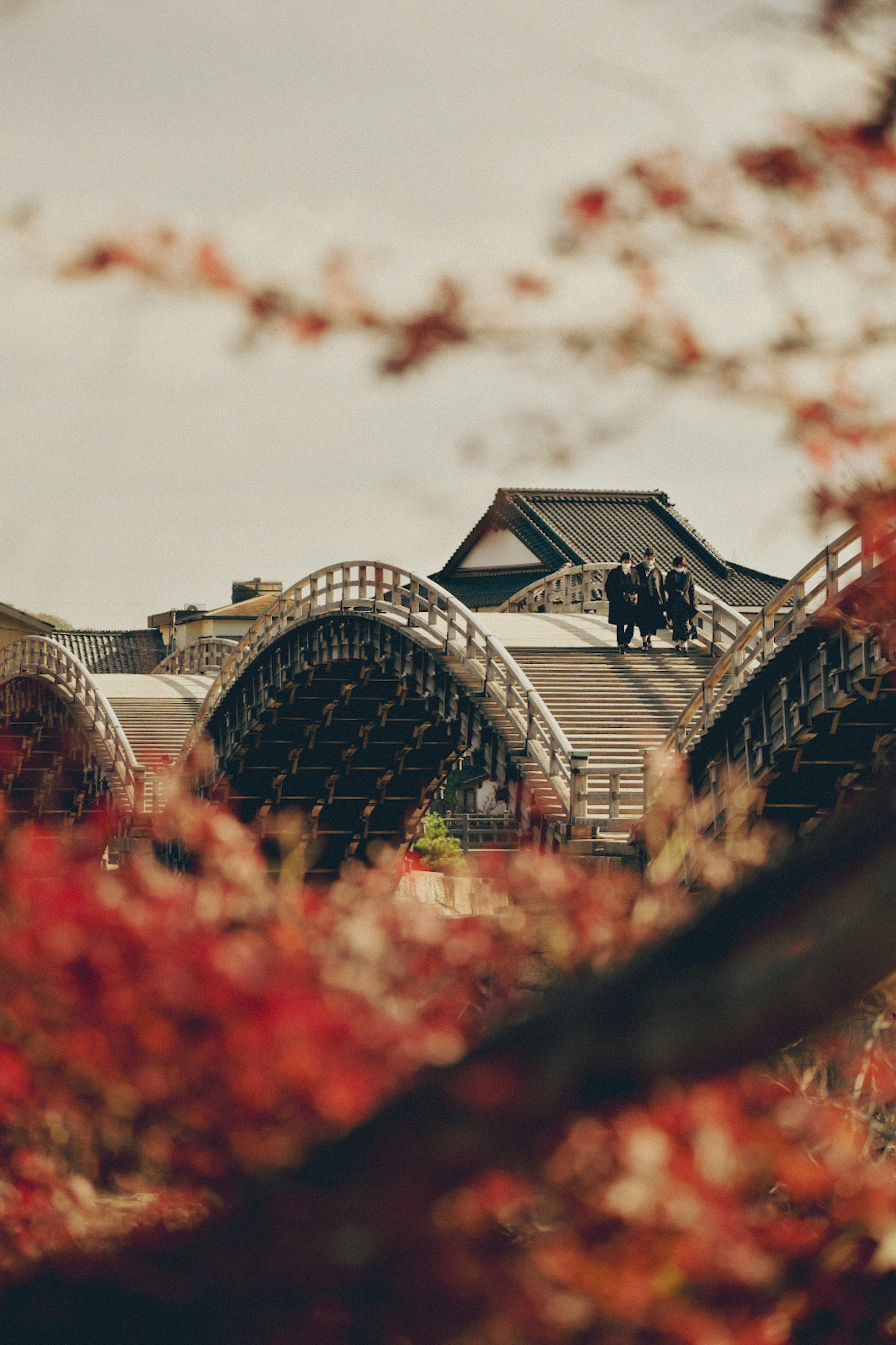 紅葉に囲まれた美しい橋の上に立つ人々