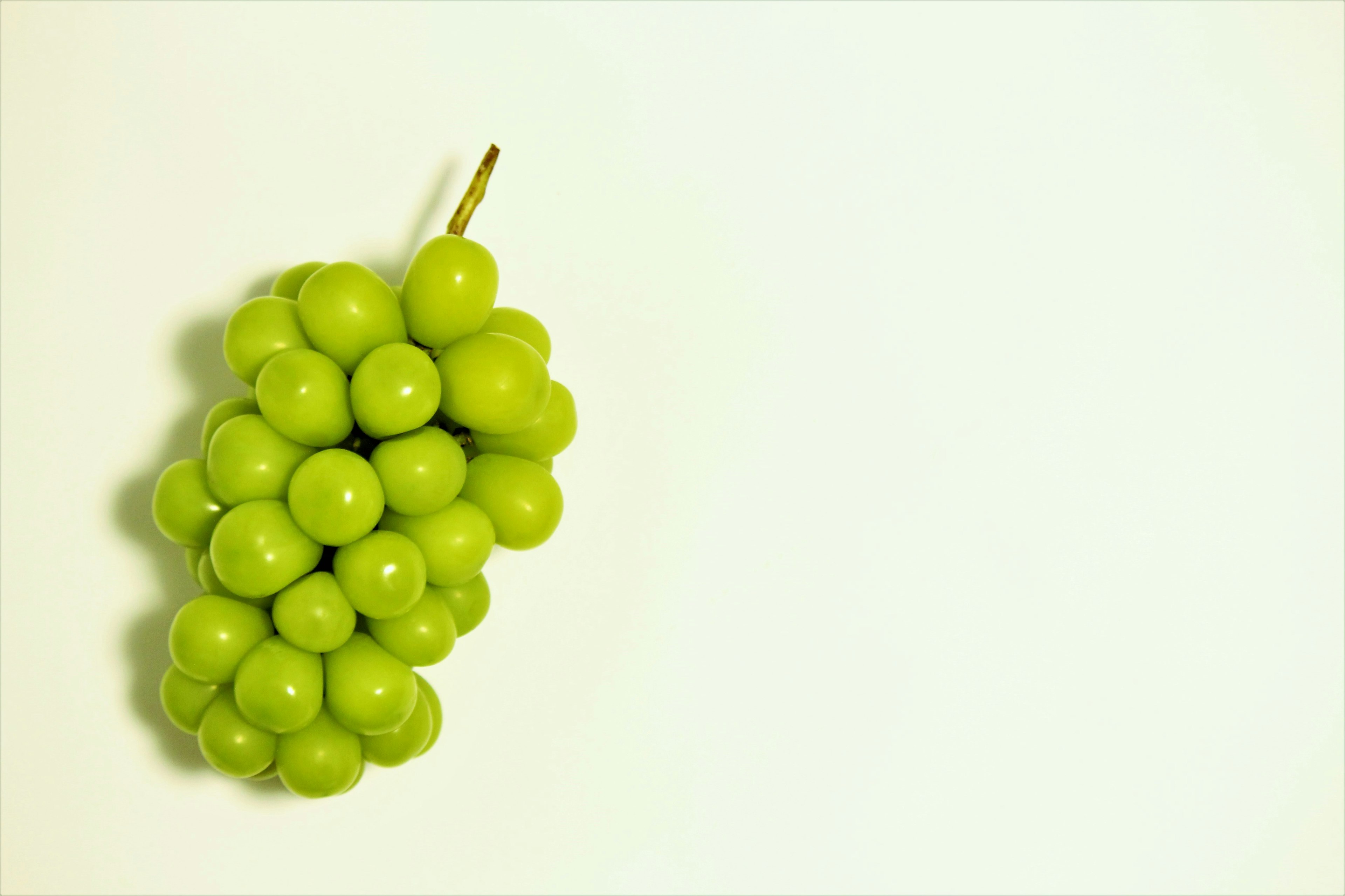 A cluster of green grapes on a white background