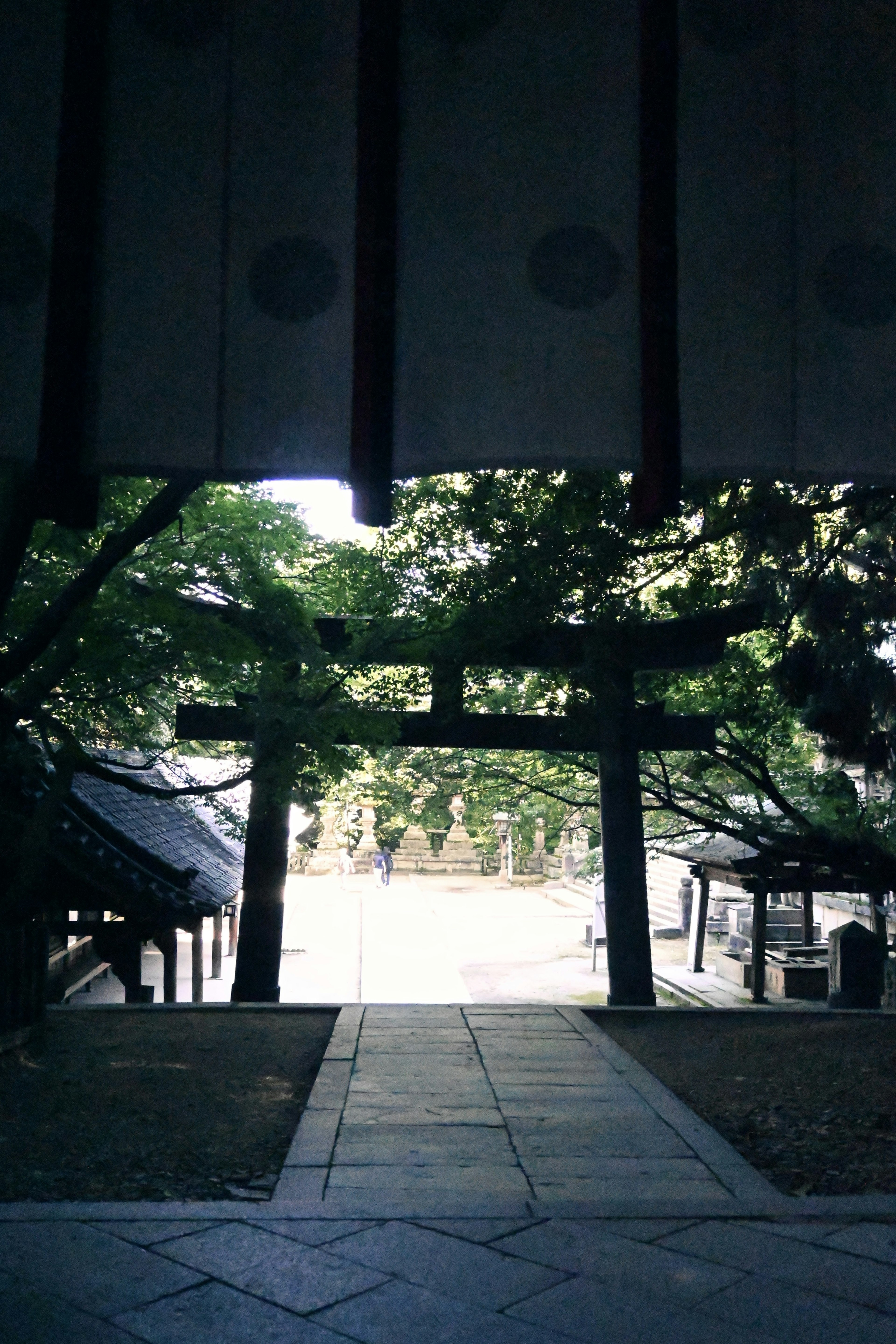 神社入口有鸟居和郁郁葱葱的绿树