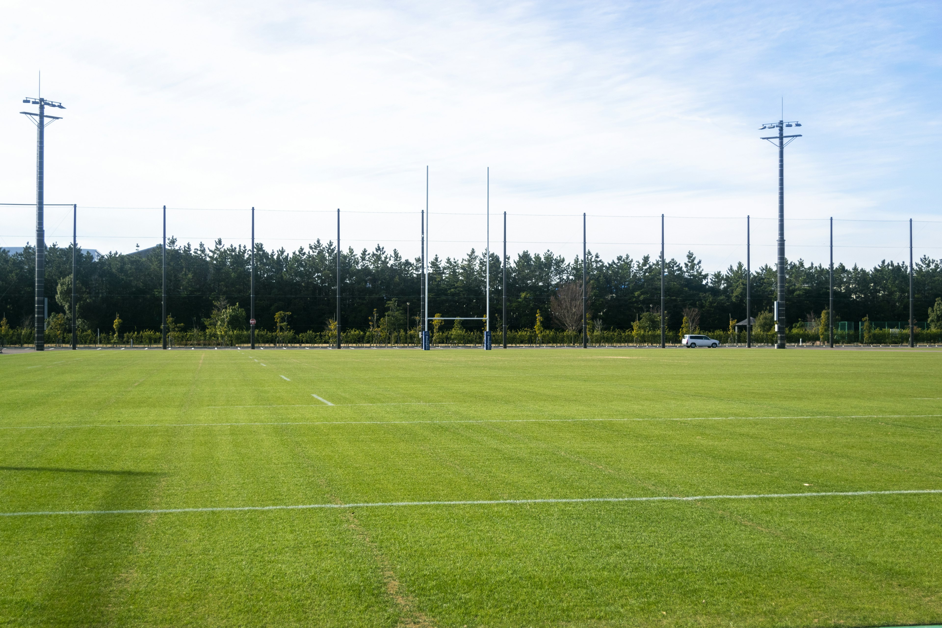 Spacious rugby field with green grass and trees in the background