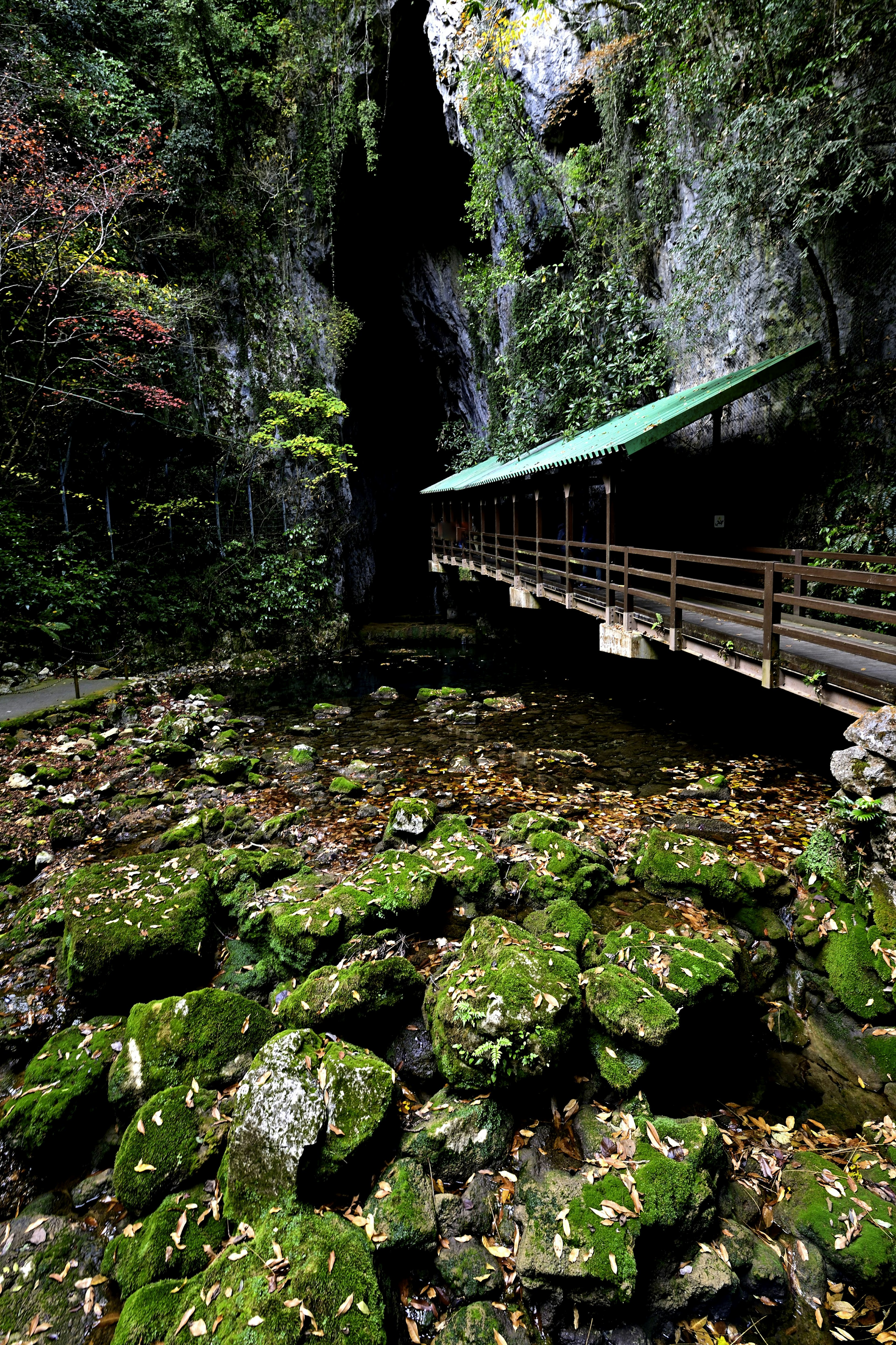 Entrée de grotte avec des rochers recouverts de mousse et un chemin en bois