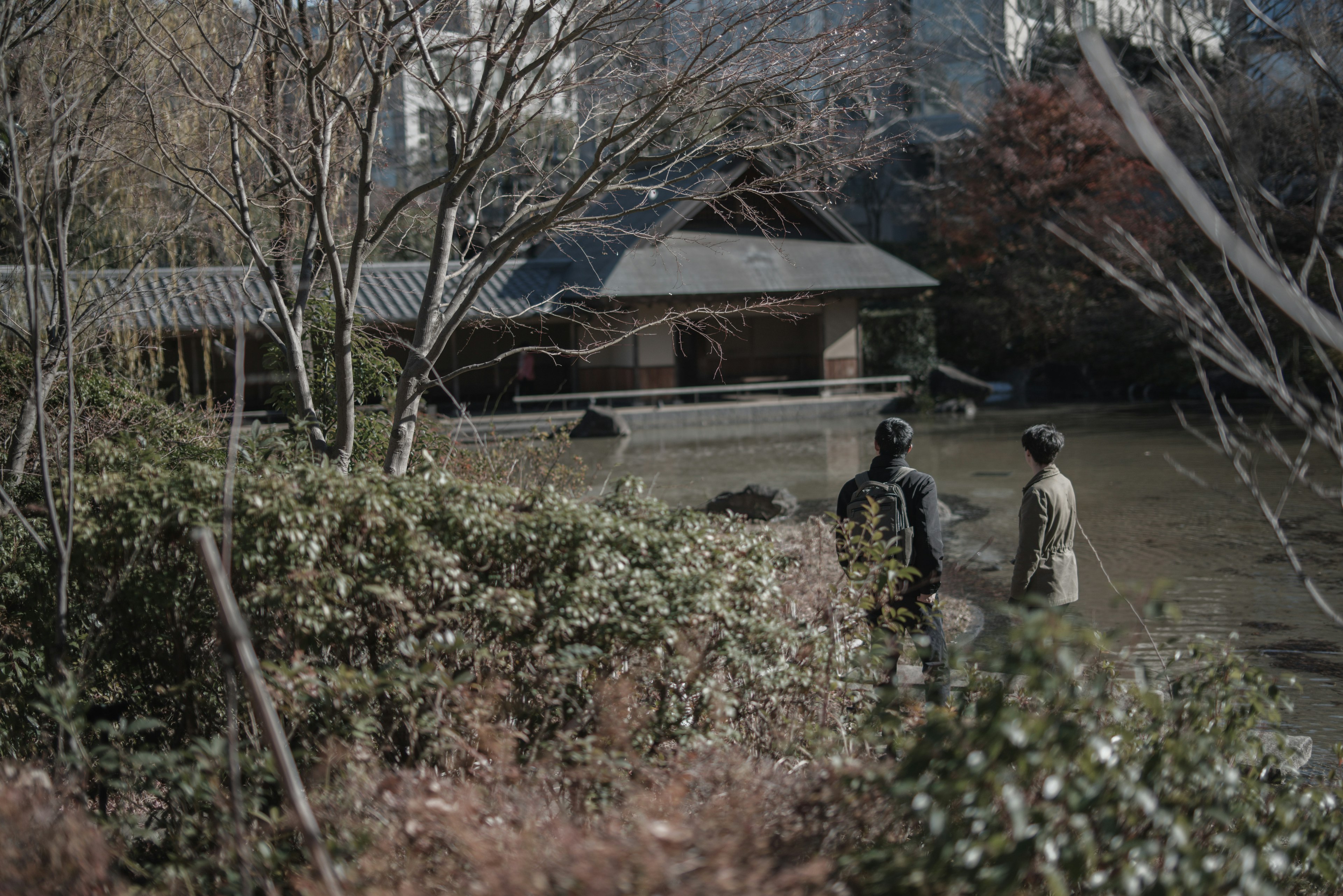 兩個人在寧靜的公園裡走在池塘附近