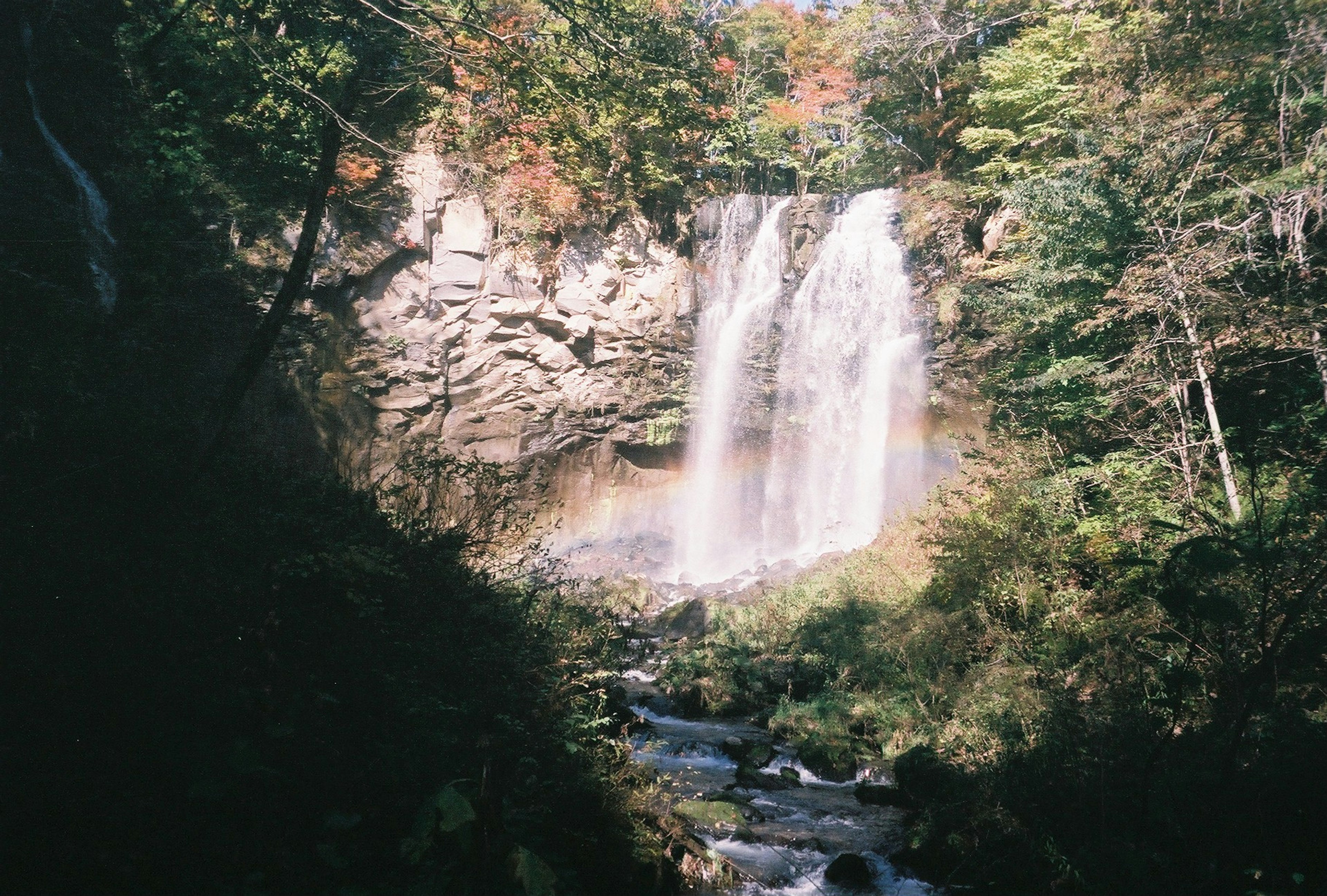 美しい滝が流れる自然の風景 緑豊かな木々と岩に囲まれた場所