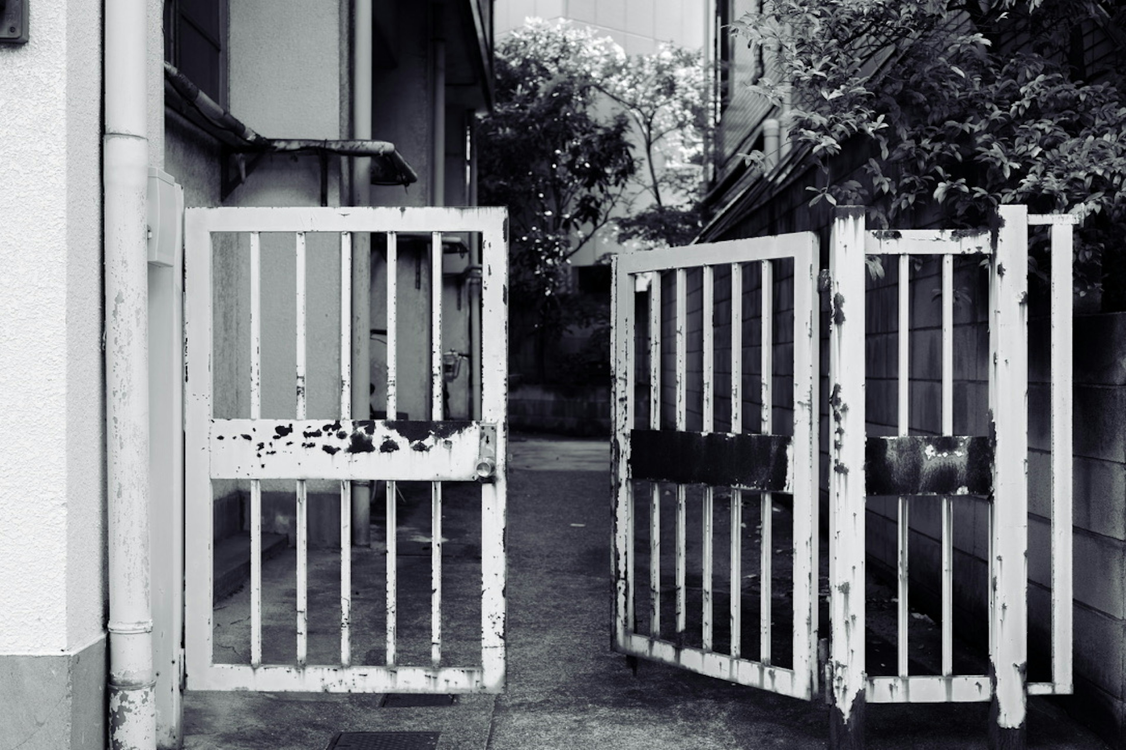 Photo of an old gate with white doors opened showing iron bars