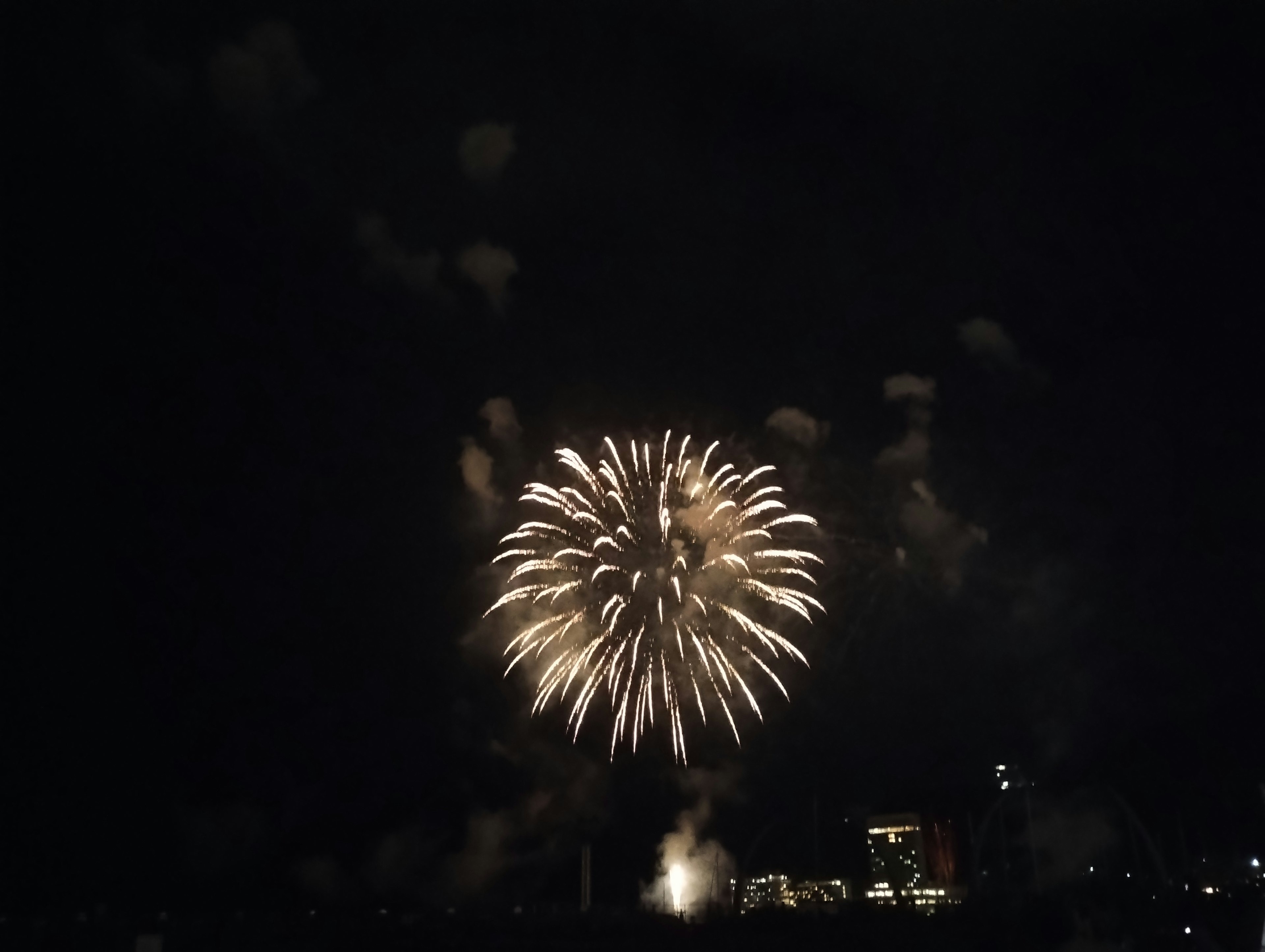 Gran fuego artificial estallando en el cielo nocturno