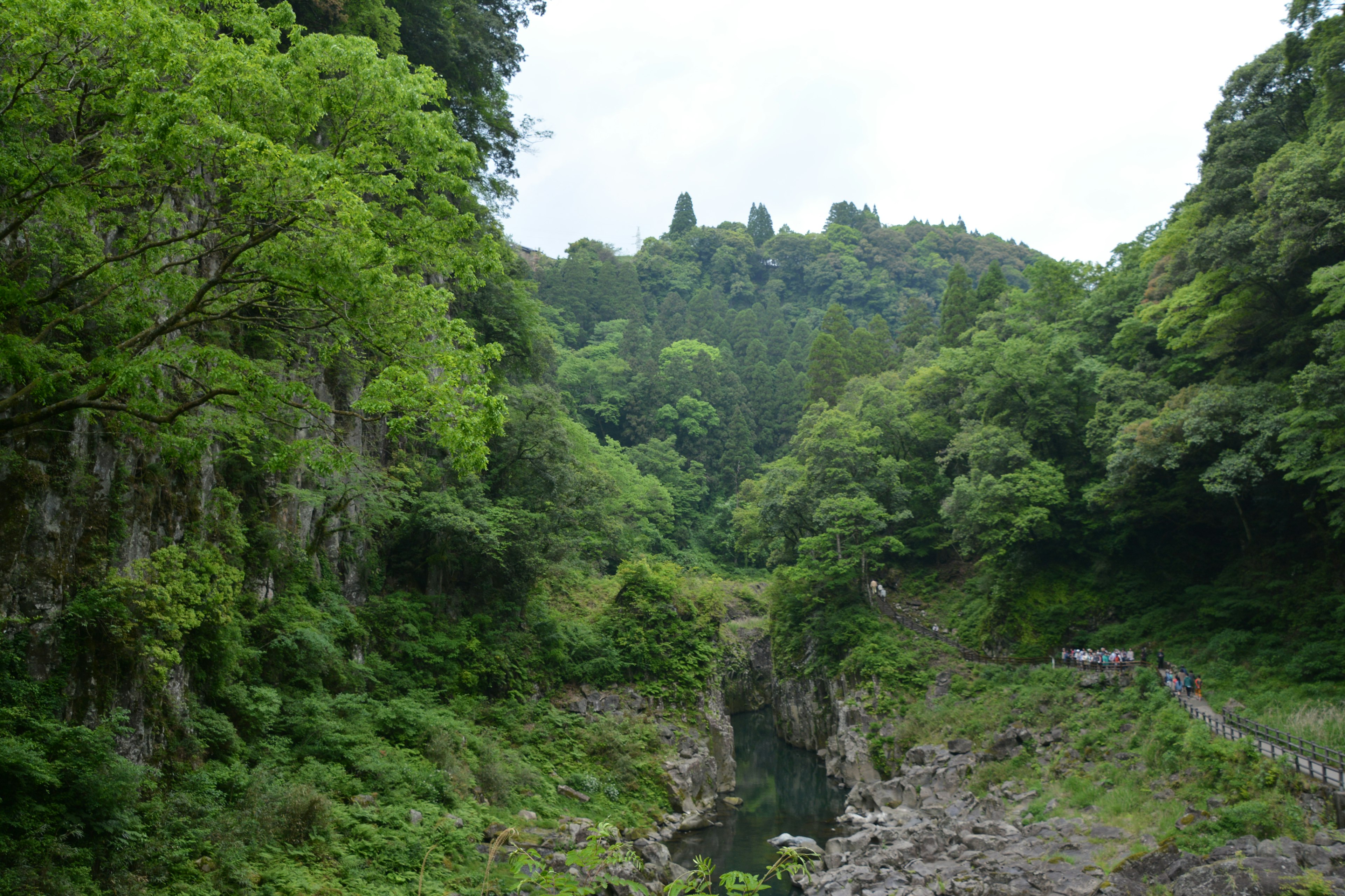 Üppige Waldlandschaft, die ein ruhiges Tal umgibt