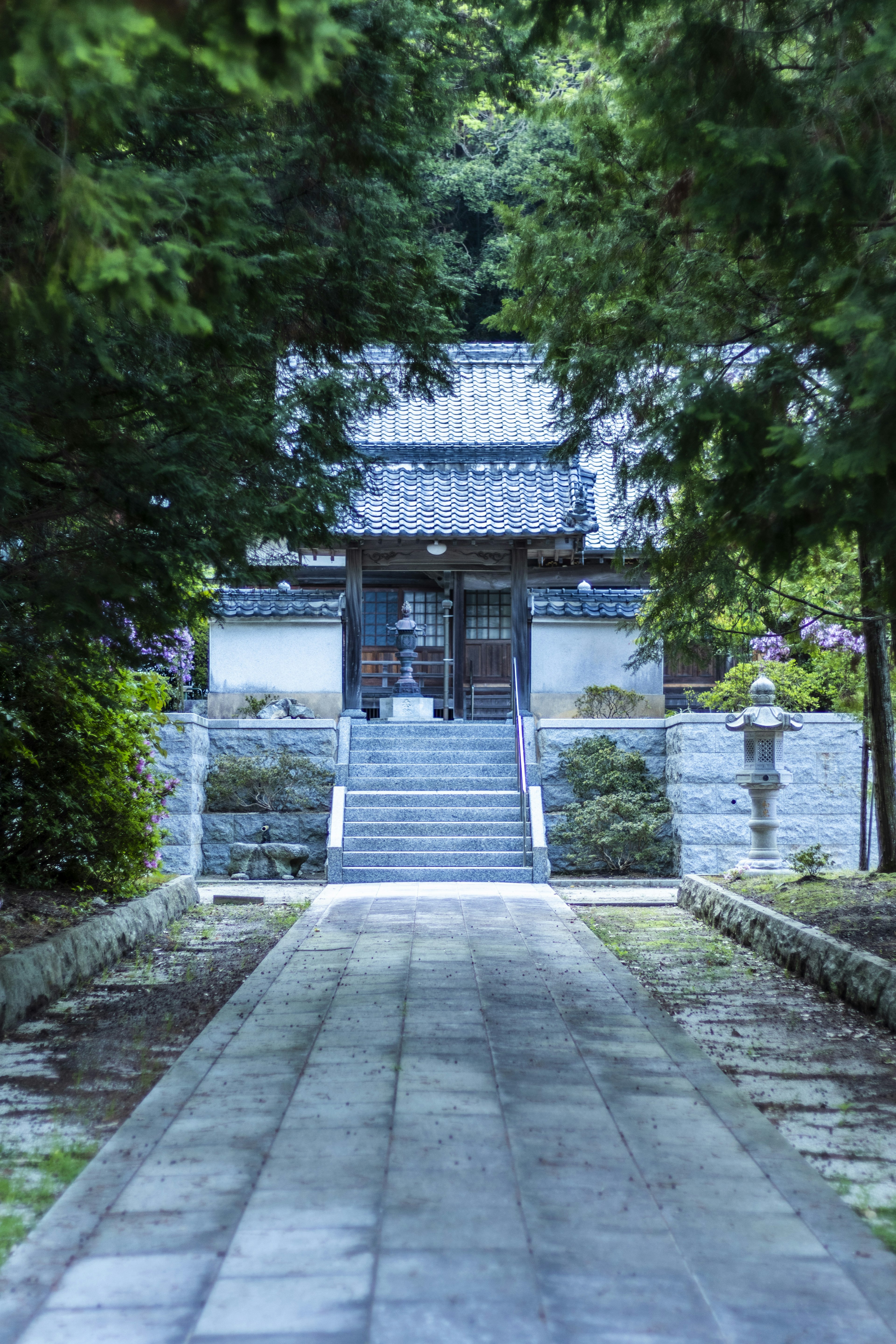 Quiet temple entrance surrounded by green trees