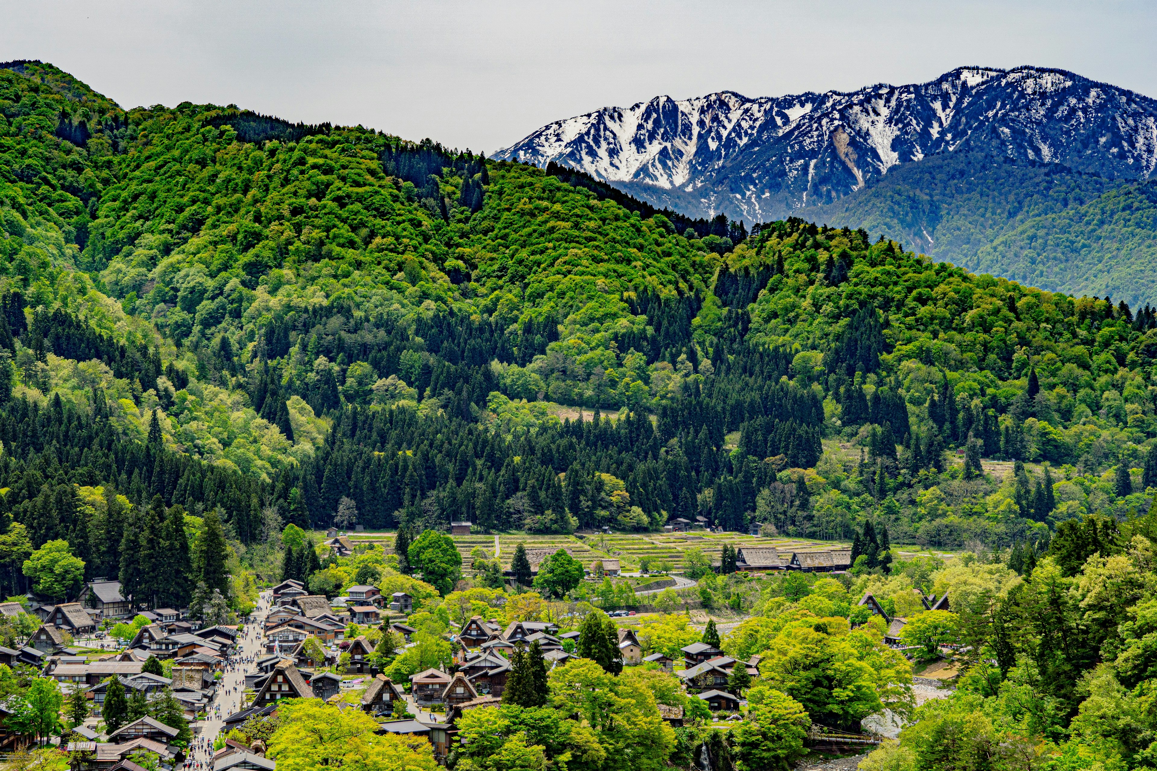 Vue pittoresque de montagnes verdoyantes et de sommets enneigés avec un village niché dans la nature