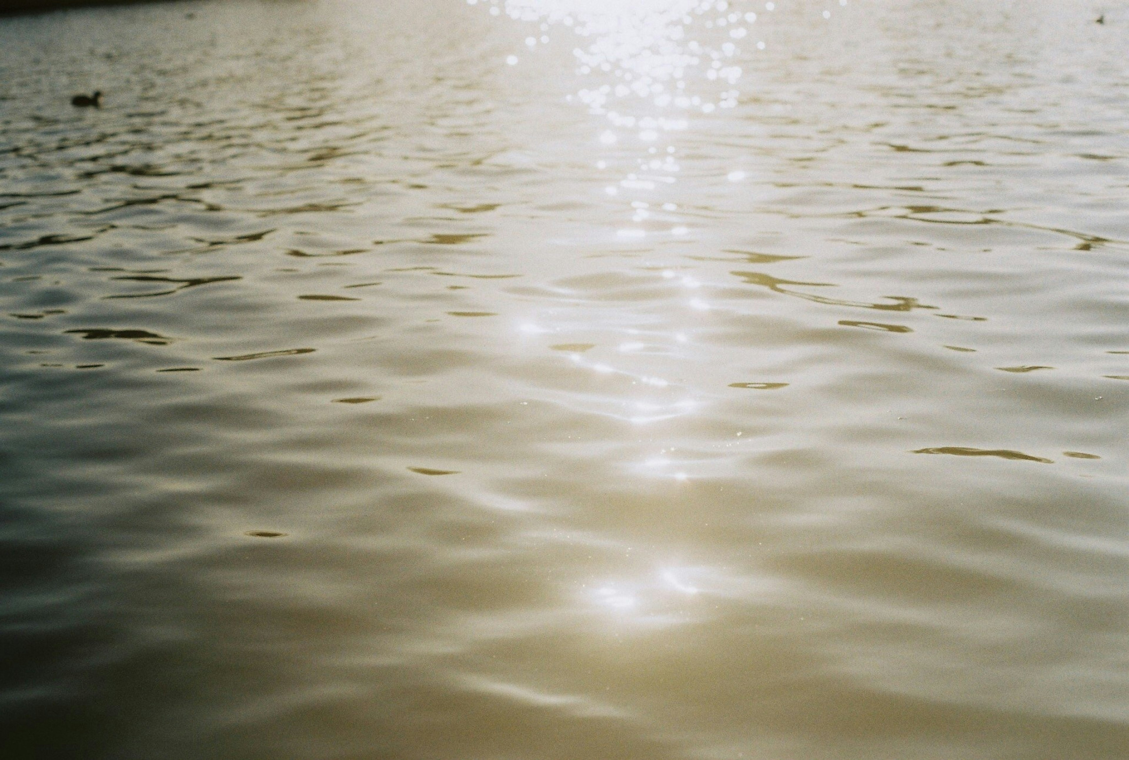 Superficie de agua tranquila reflejando puntos de luz