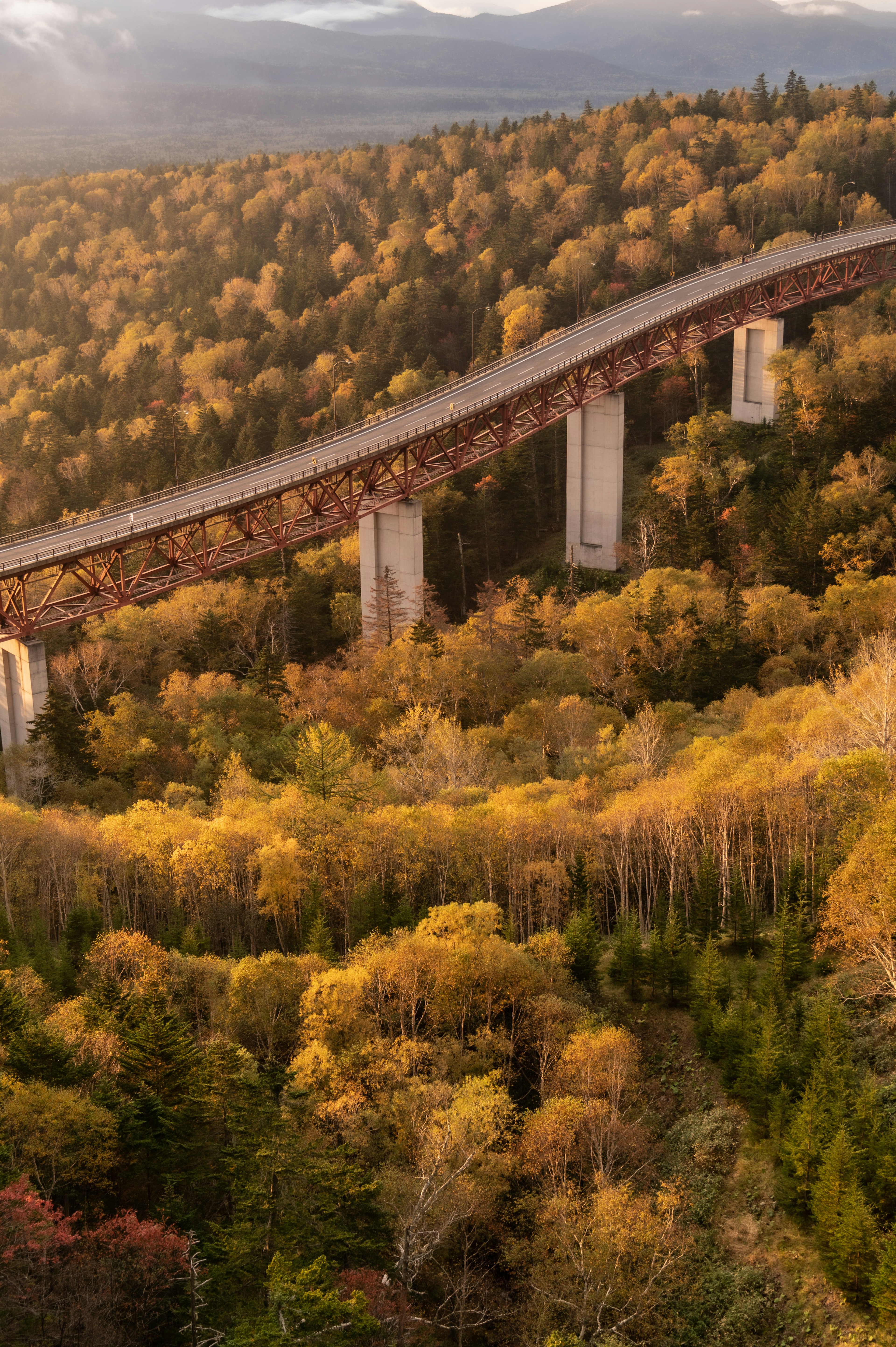 Vista escénica de un puente ferroviario sobre un bosque otoñal colorido