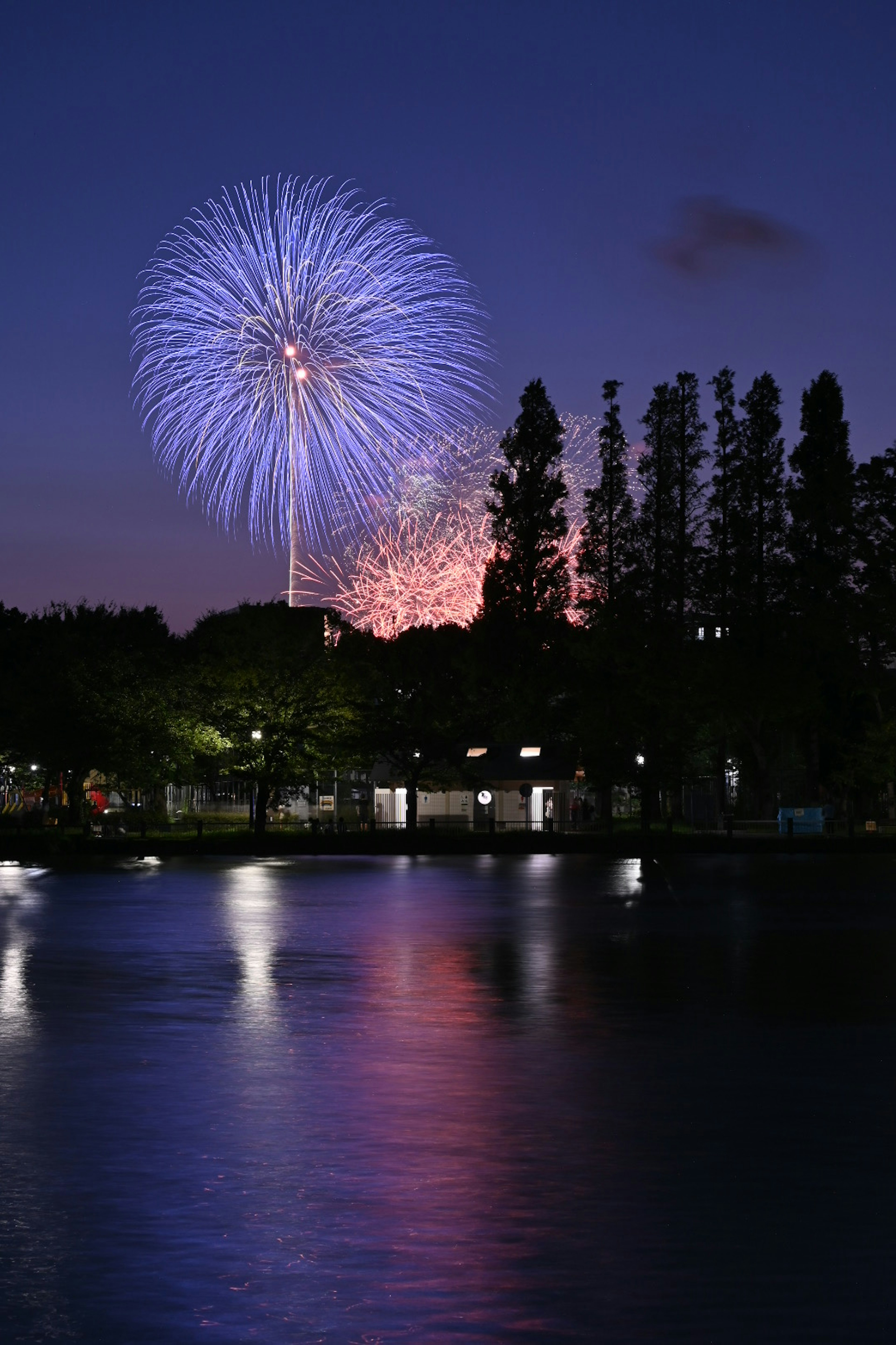 Blue fireworks illuminating the night sky over a calm lake