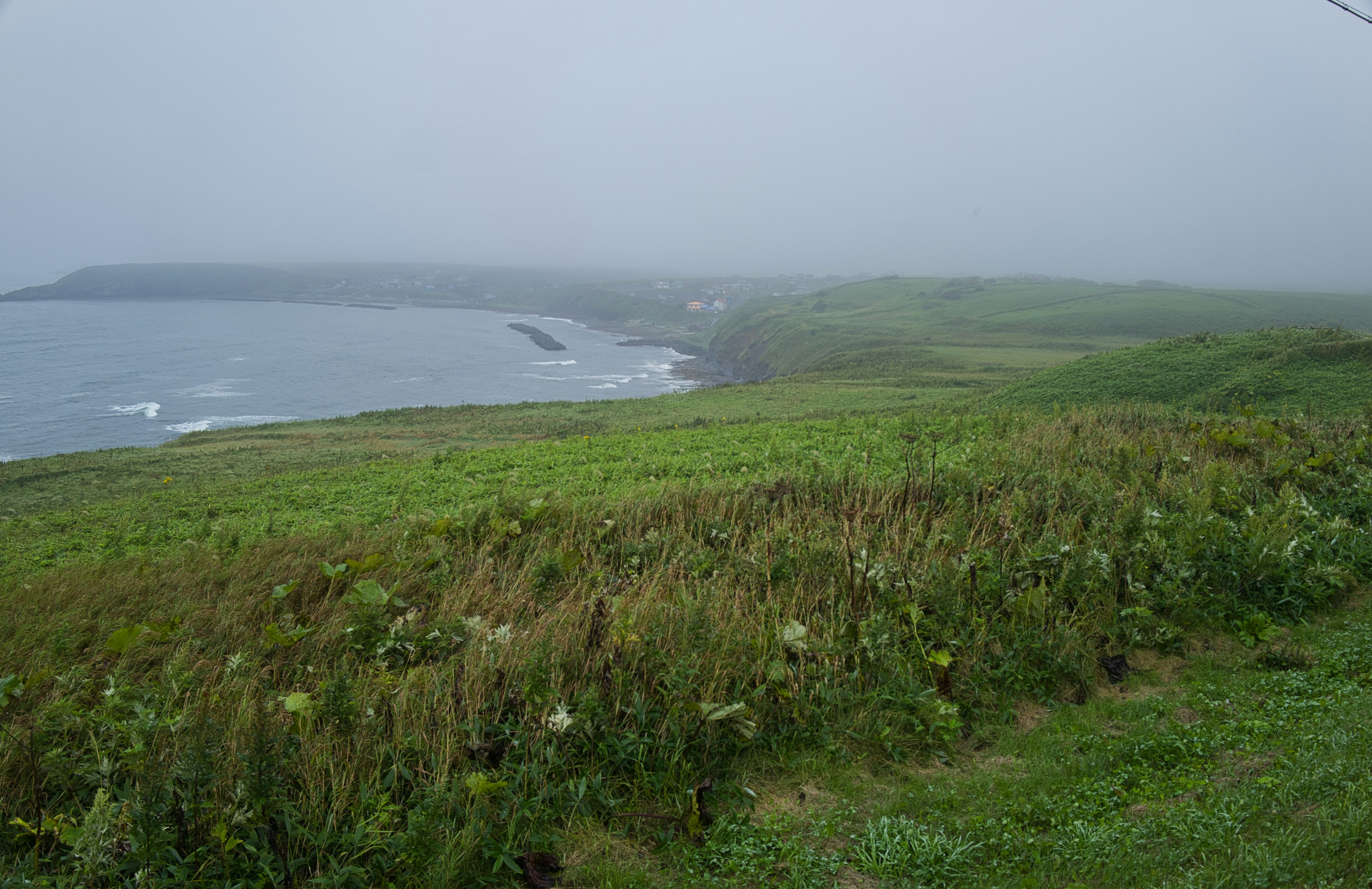 Foggy coastal landscape with green fields and ocean