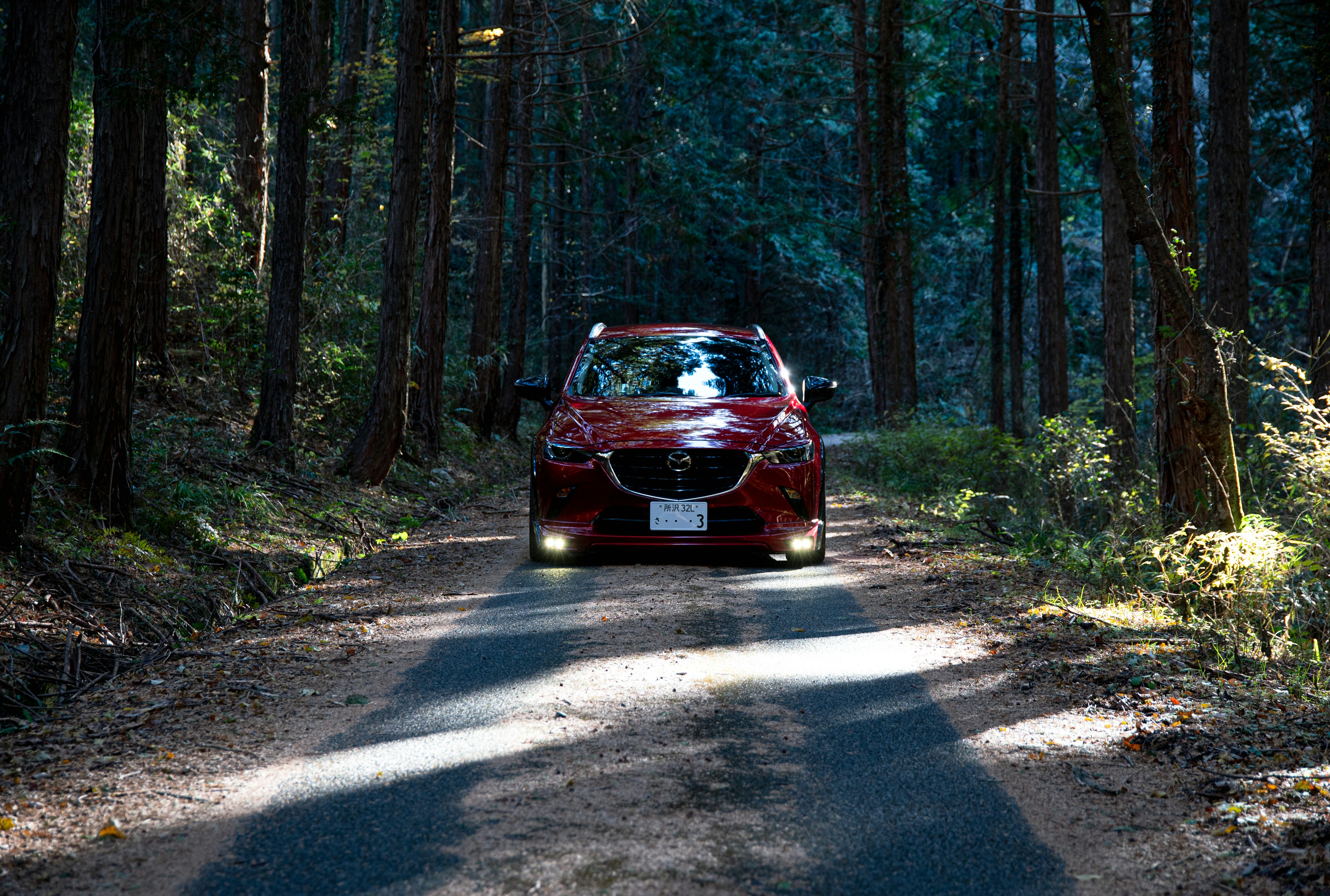 Auto rossa che percorre una strada nel bosco